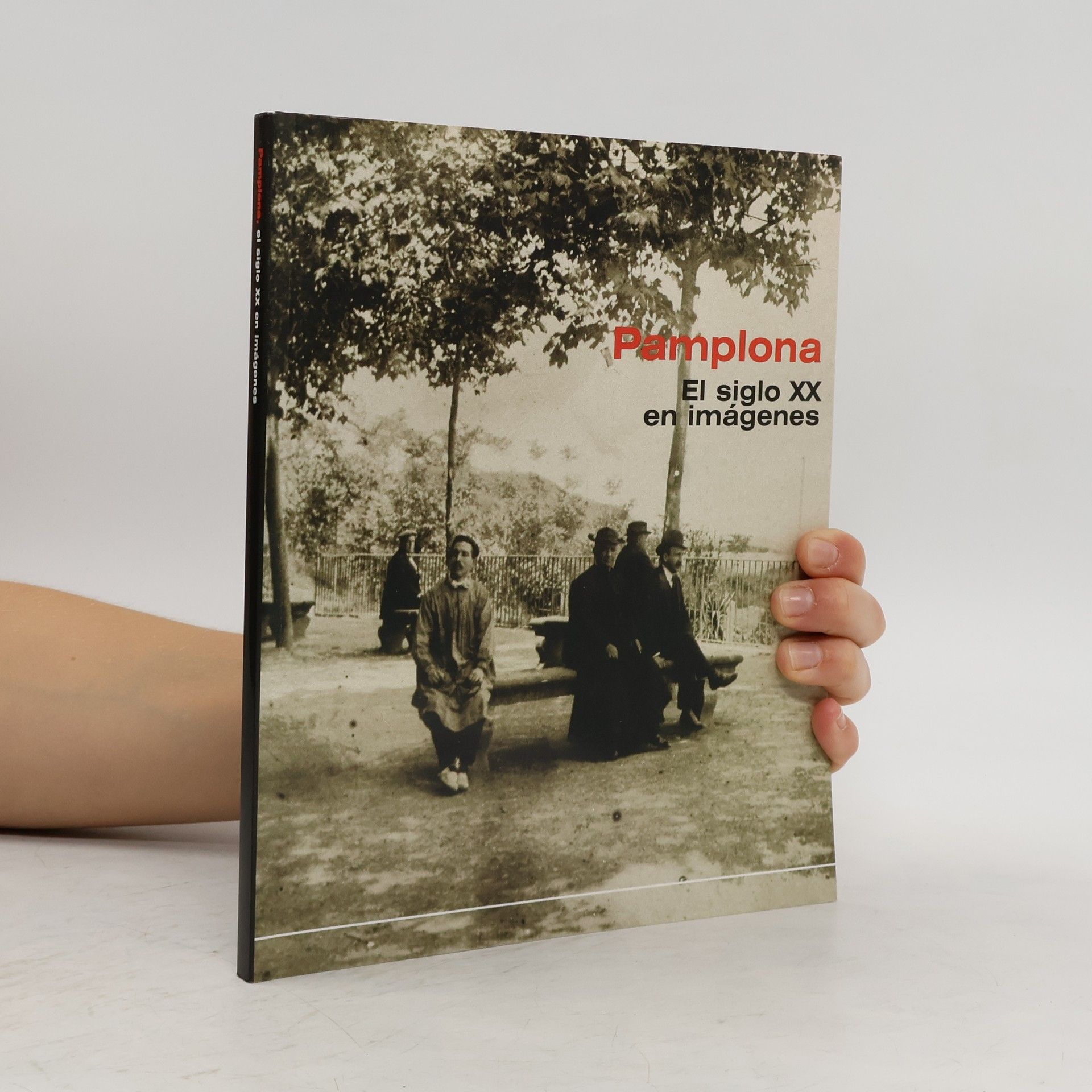 Luis Javier Fortún Pamplona