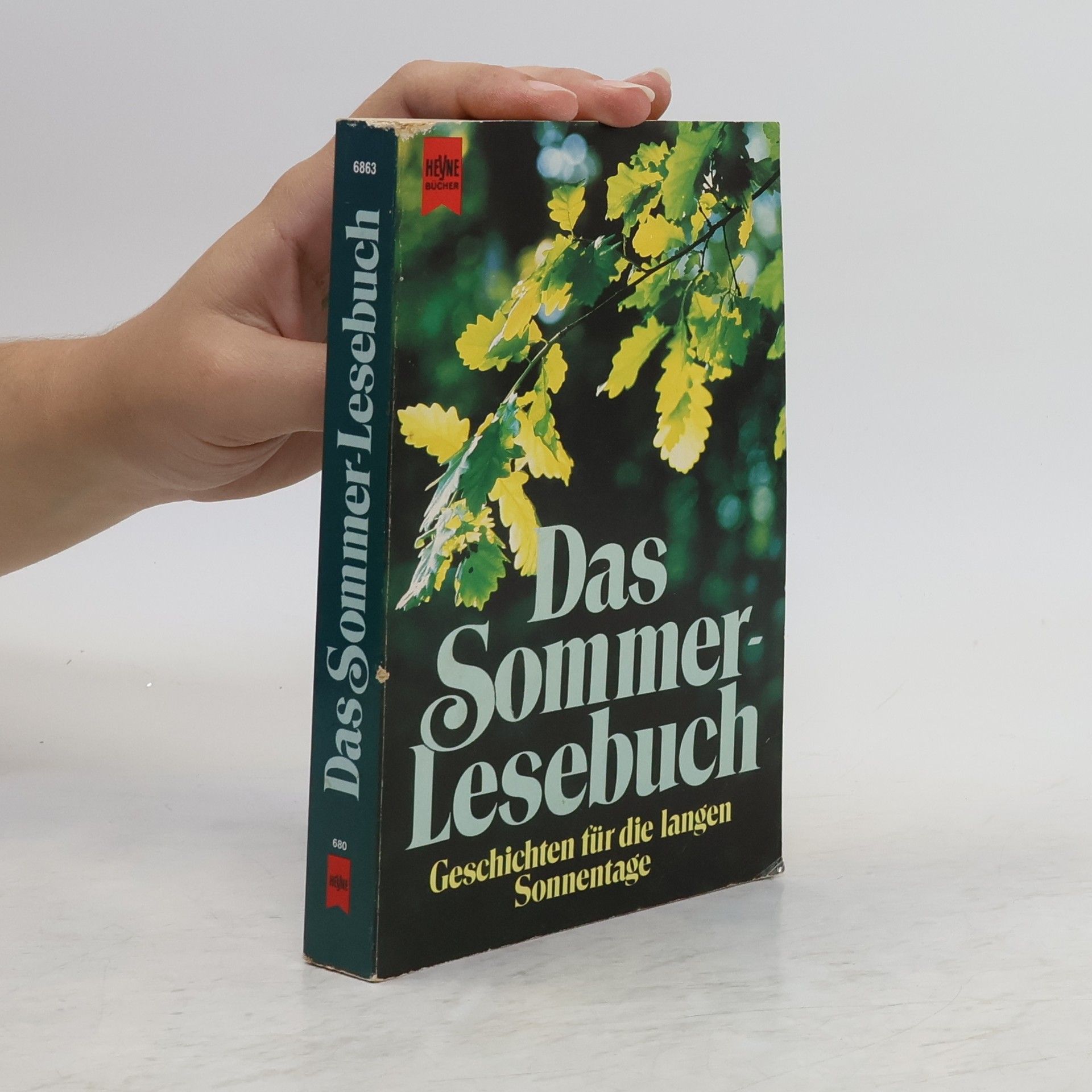 Manfred Kluge Das Sommerlesebuch