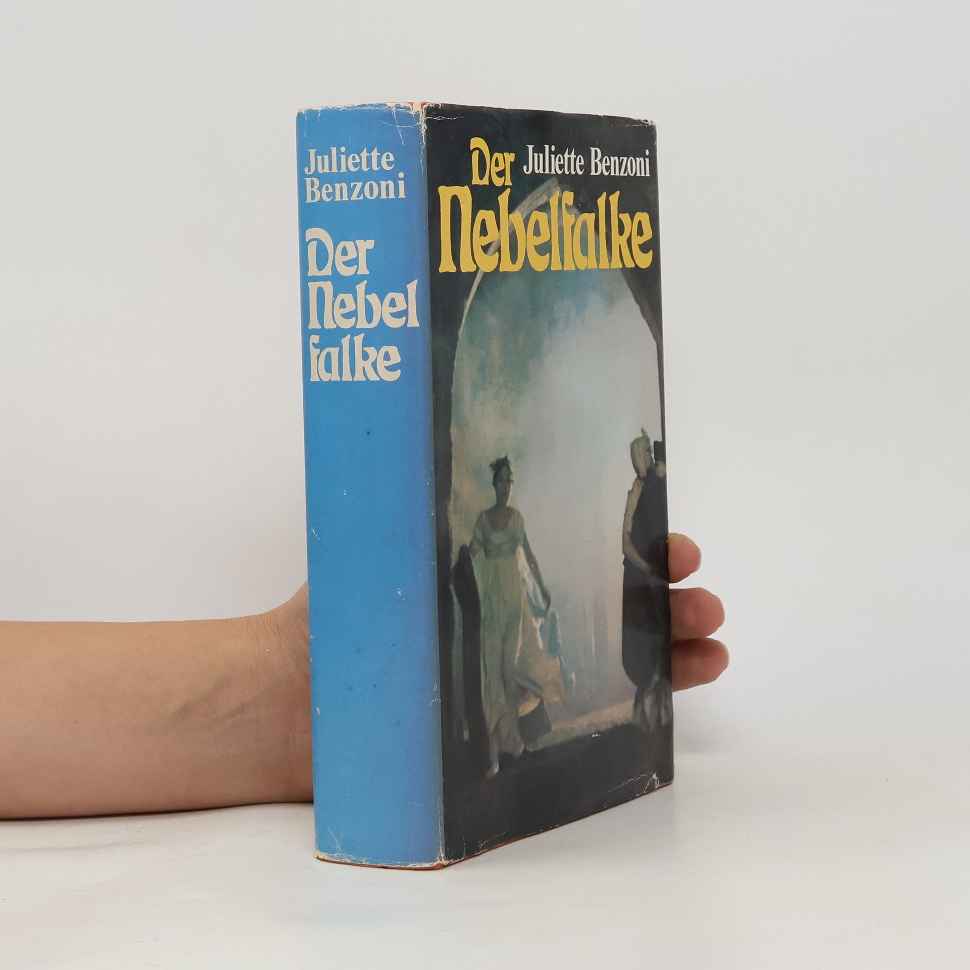 Juliette Benzoni Der Nebelfalke