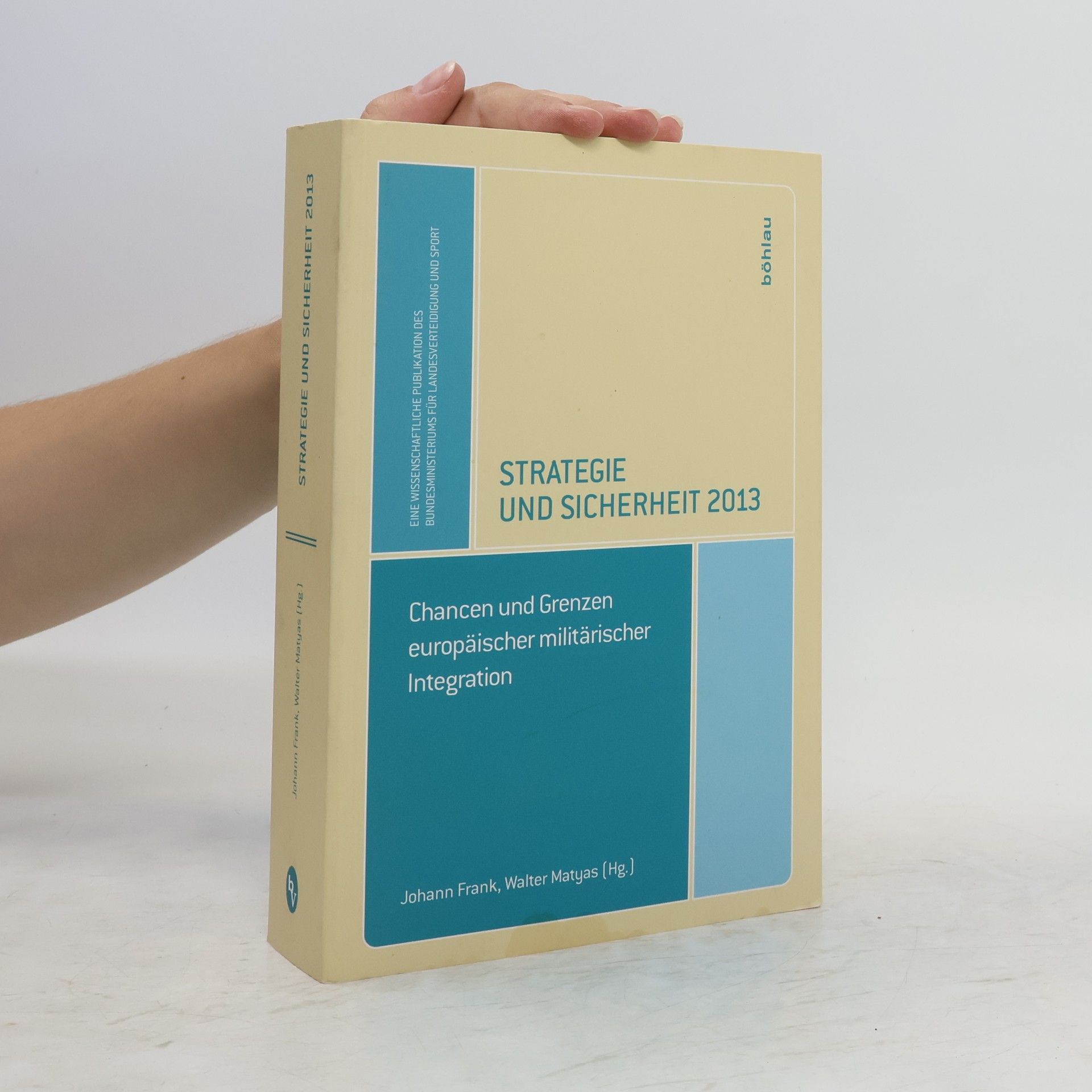 Strategie und Sicherheit 2013