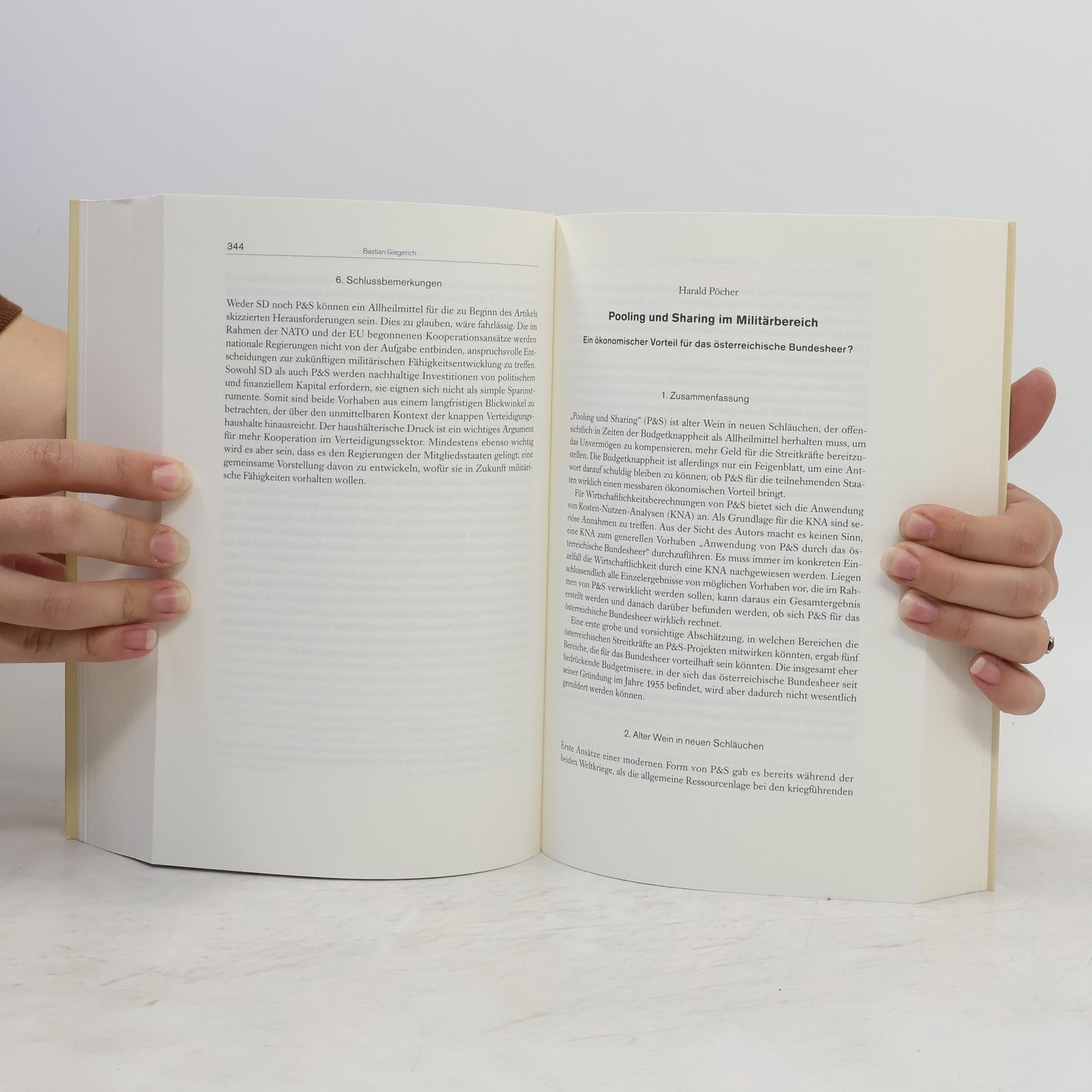 Johann Frank Strategie und Sicherheit 2013