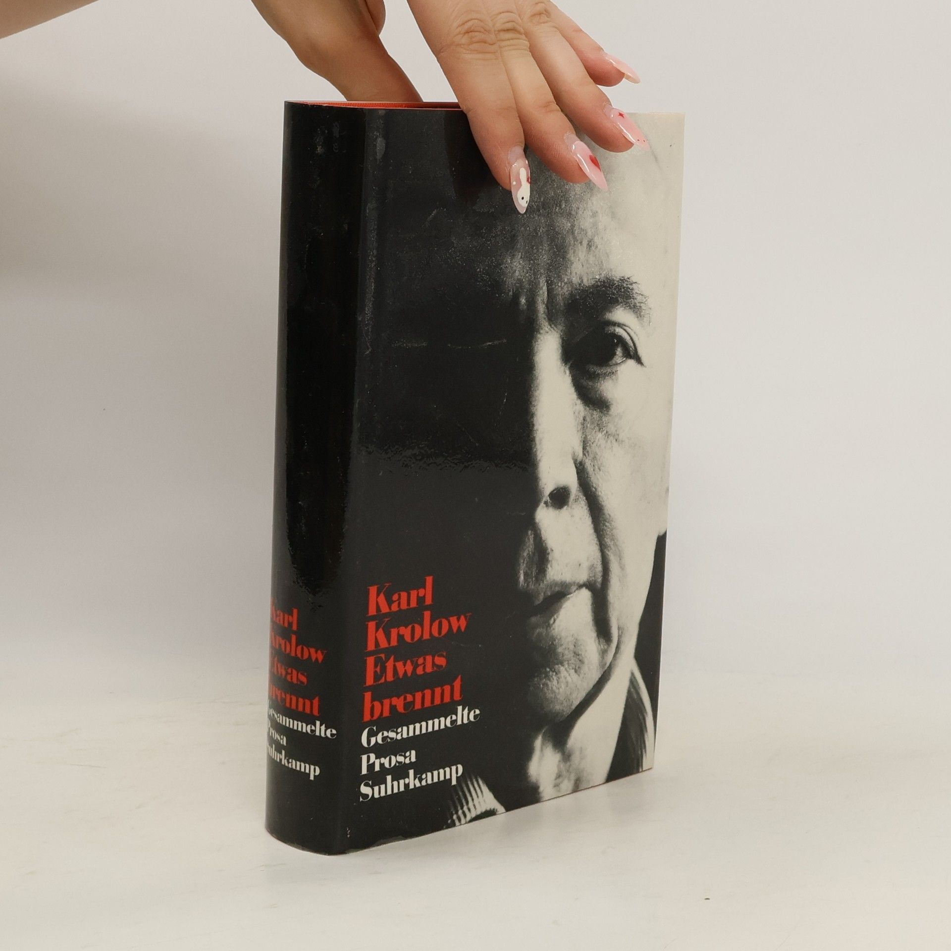 Karl Krolow Etwas brennt. Gesammelte Prosa