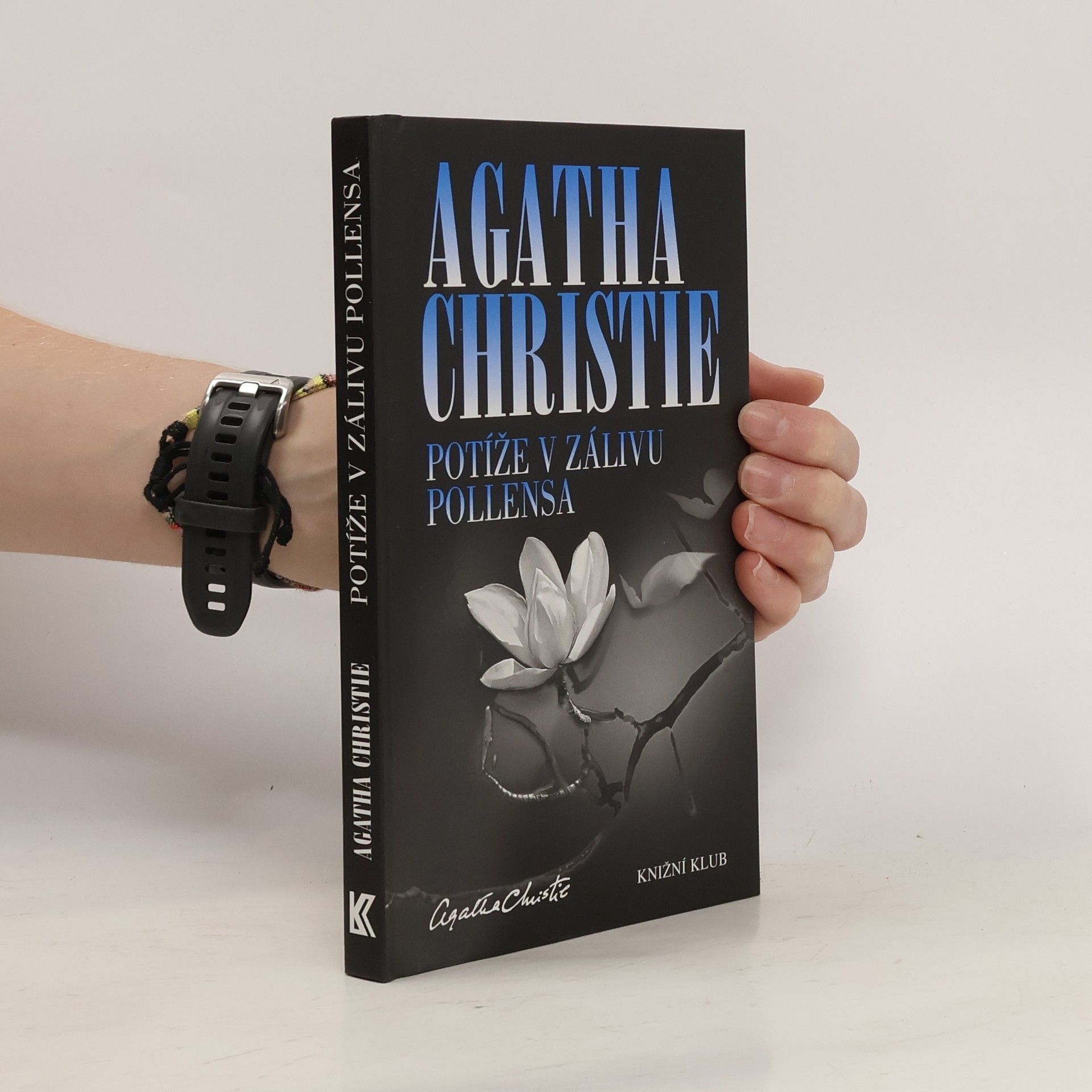 Agatha Christie Potíže v zálivu Pollensa