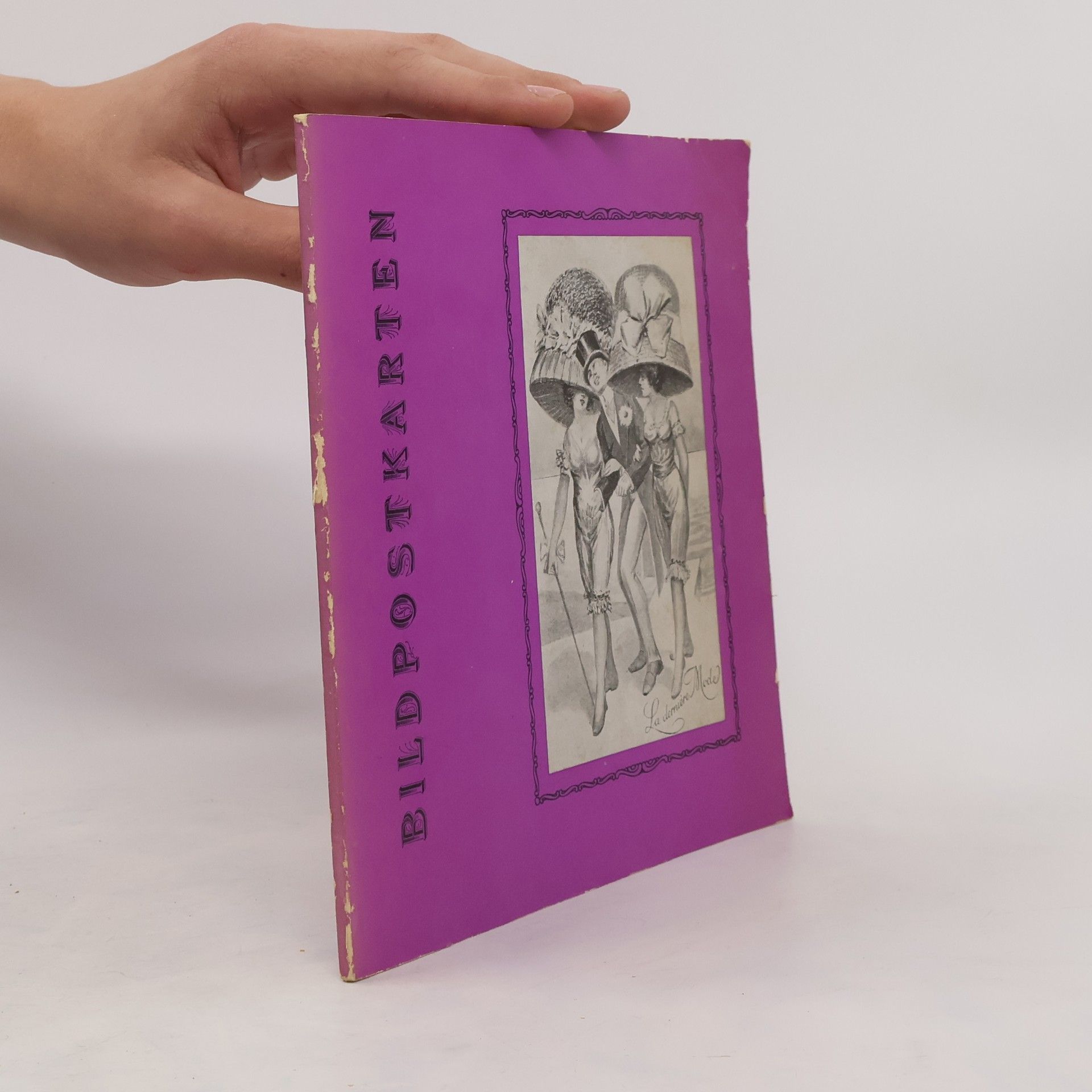 Collectif d'auteurs Die Bildpostkarte Deutschland