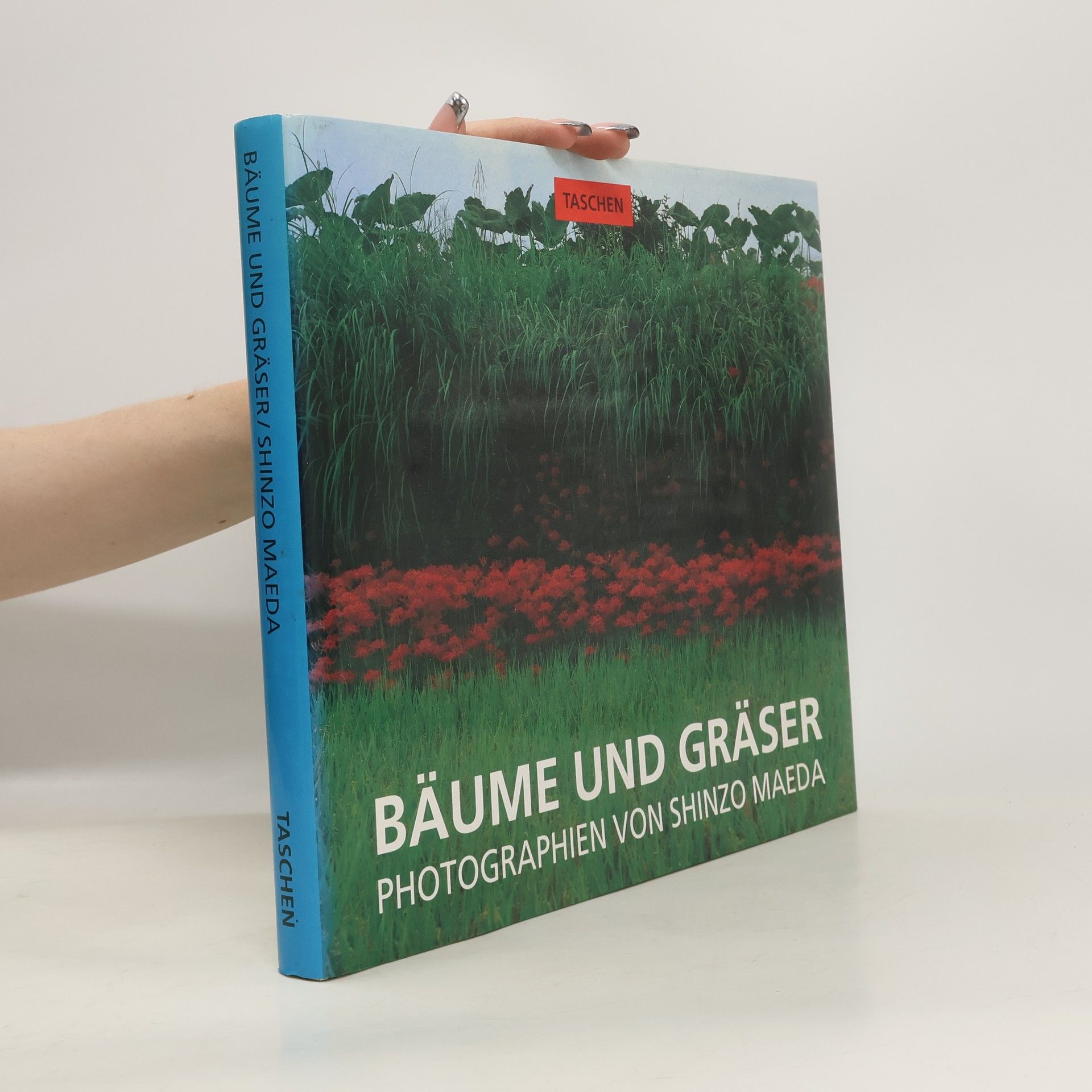 Shinzo Maeda Bäume und Gräser