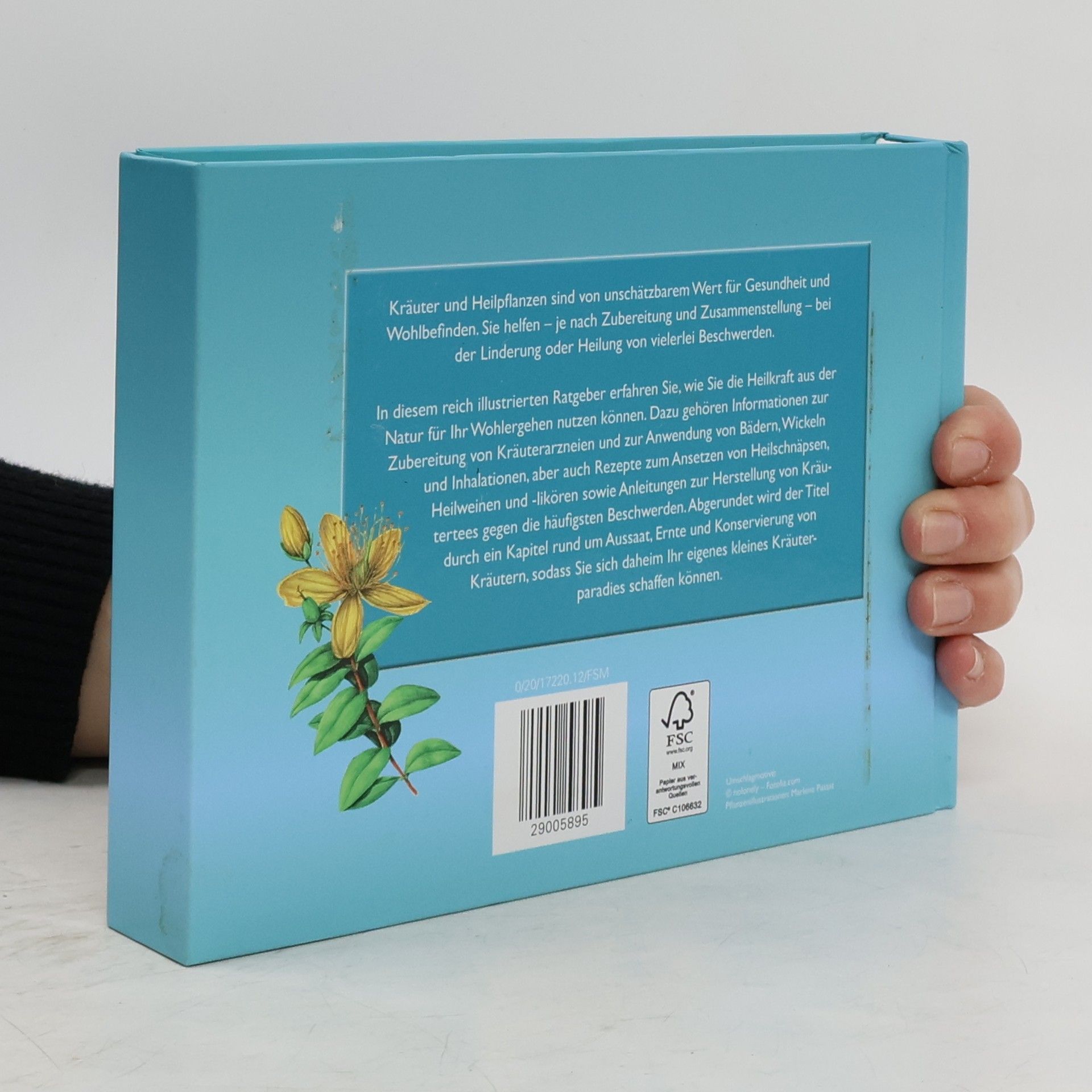 Autorenkollektiv Gesundheit aus der Kräuterapotheke