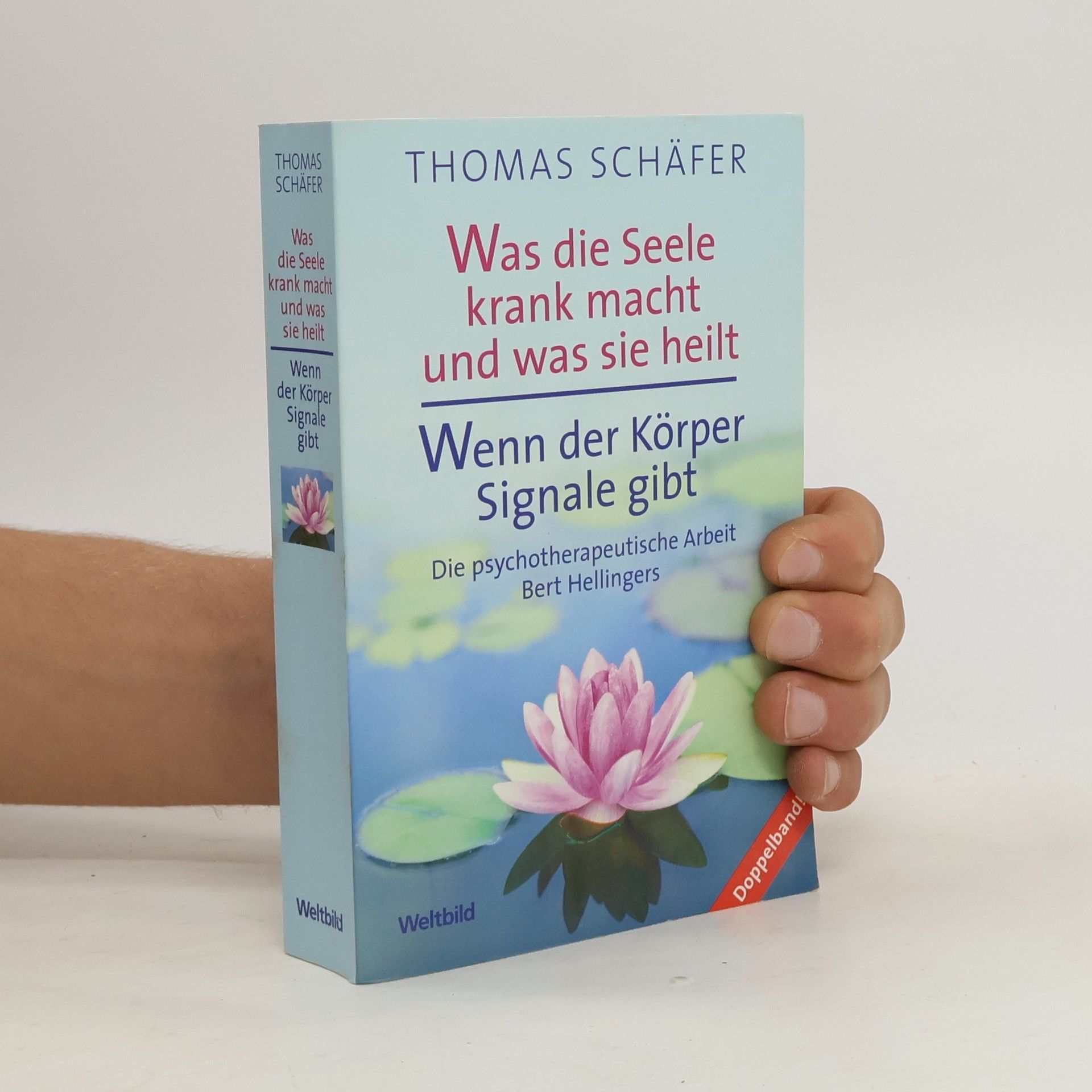 Thomas Schäfer Was die Seele krank macht und was sie heilt