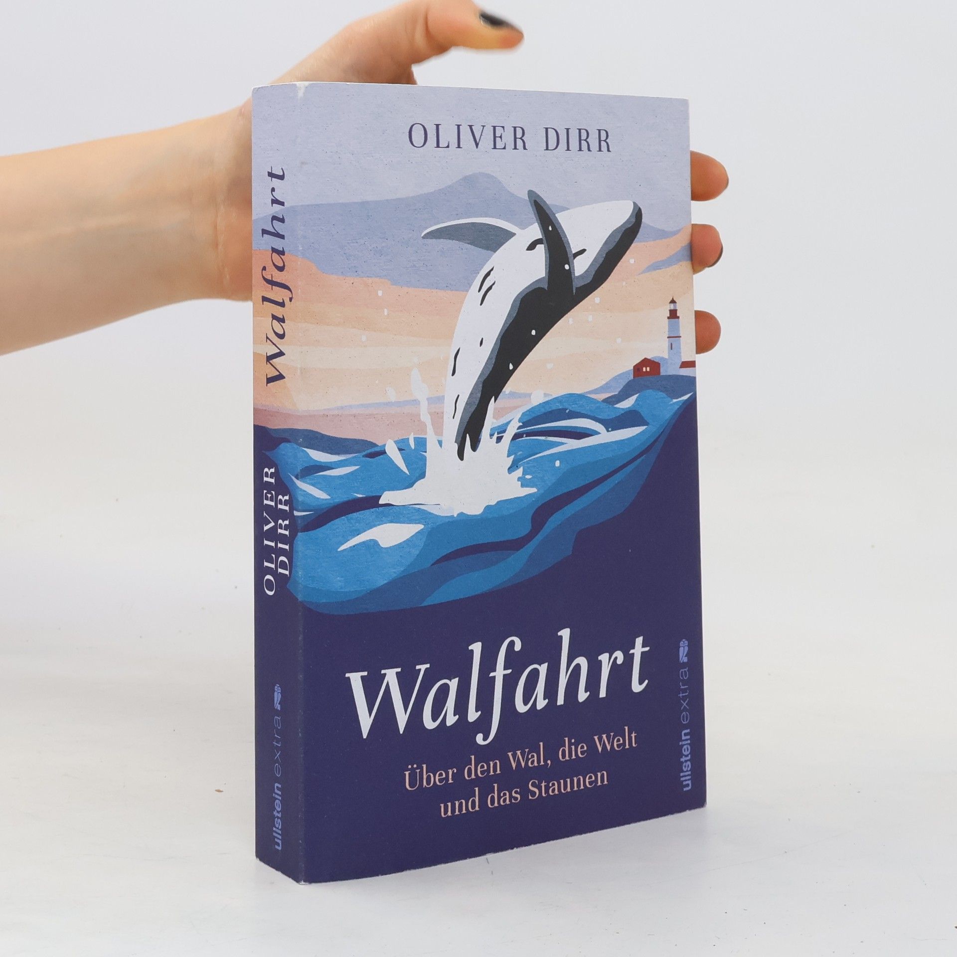 Oliver Dirr Walfahrt
