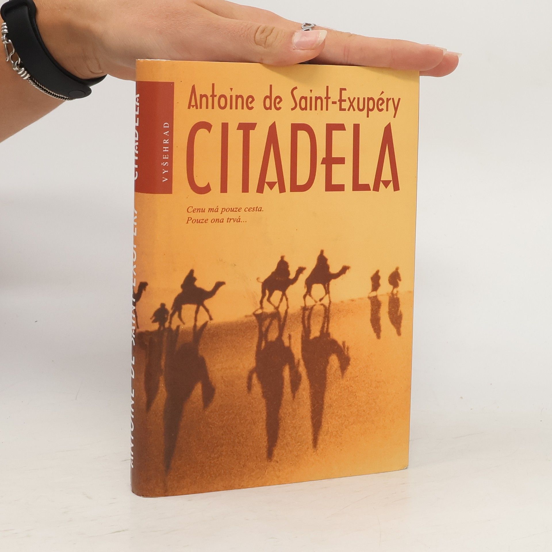 Antoine de Saint-Exupéry Citadela