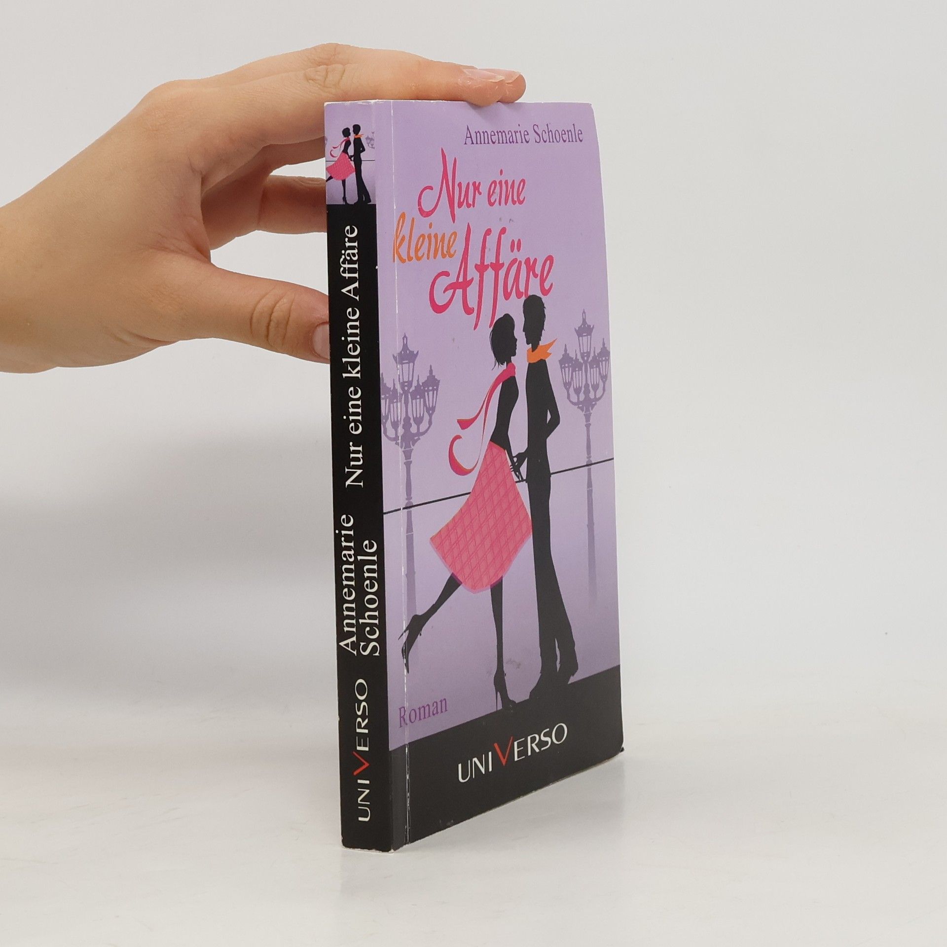Annemarie Schoenle Nur eine kleine Affäre