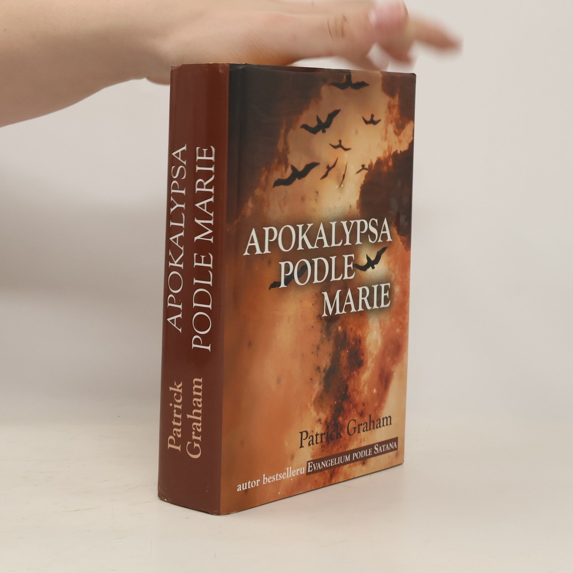 Patrick Graham Apokalypsa podle Marie