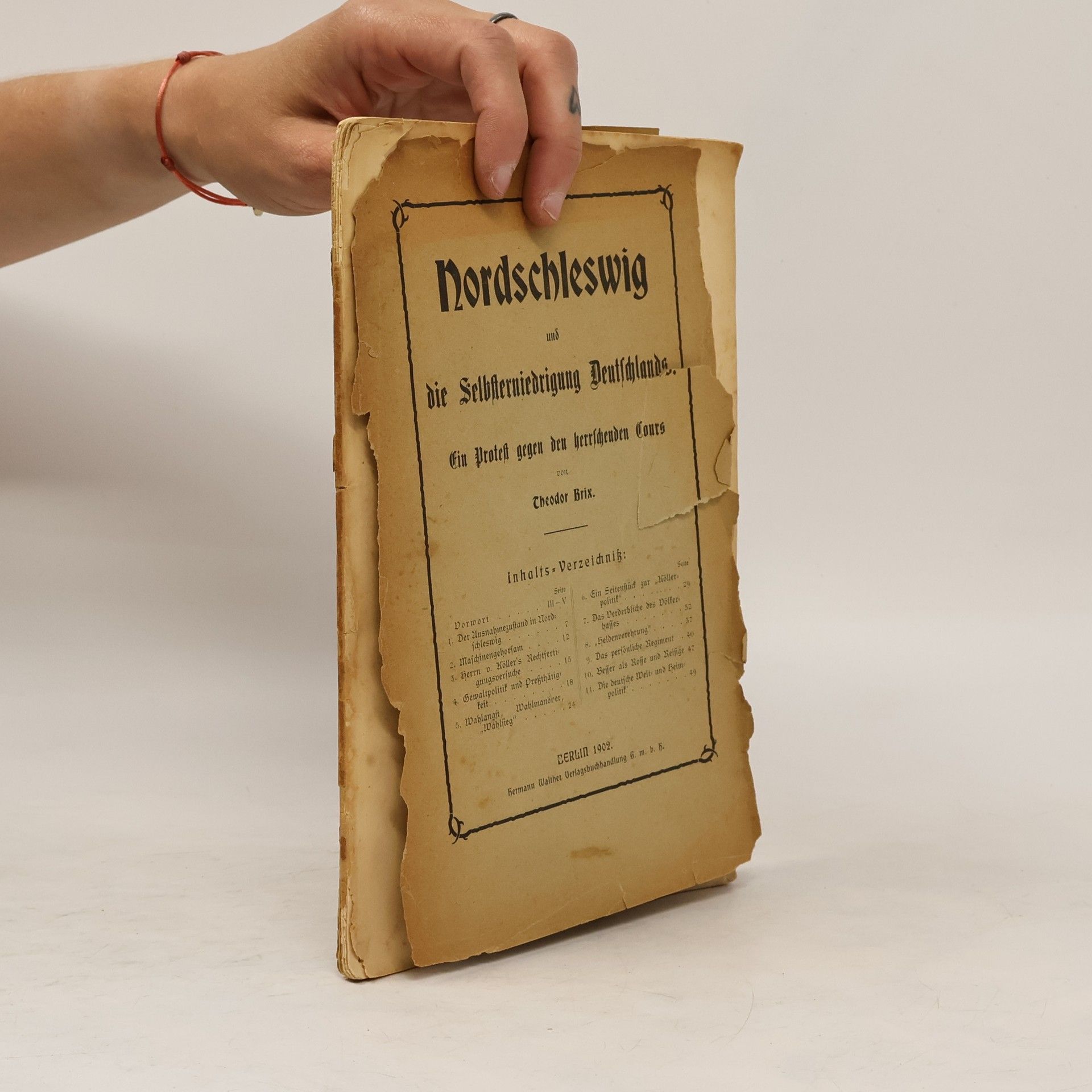 Theodor Brix Nordschleswig und die Selbsterniedrigung Deutschlands