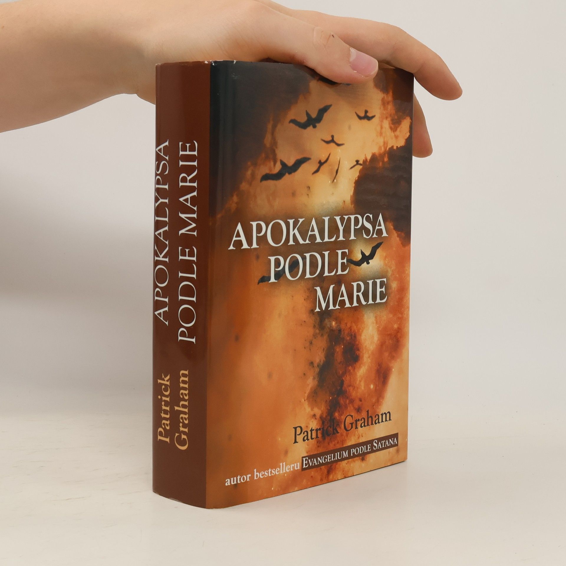 Apokalypsa podle Marie