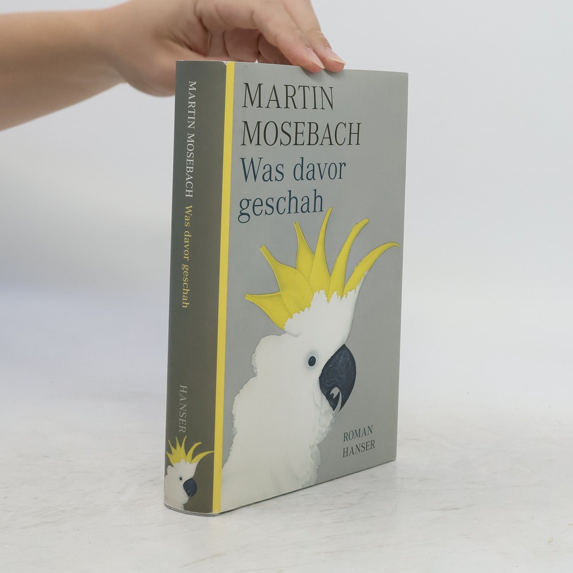 Martin Mosebach Was davor geschah