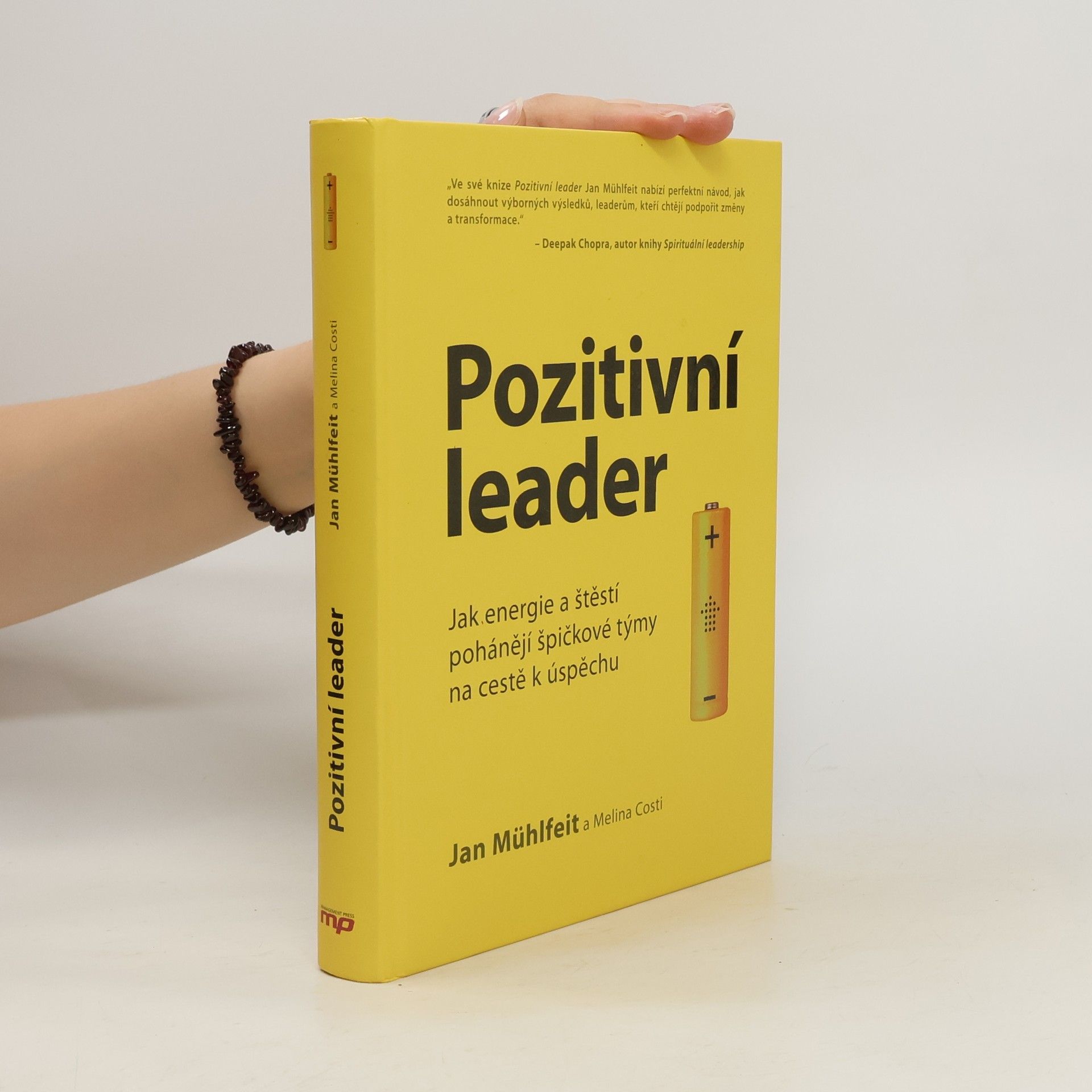 Jan Mühlfeit Pozitivní leader