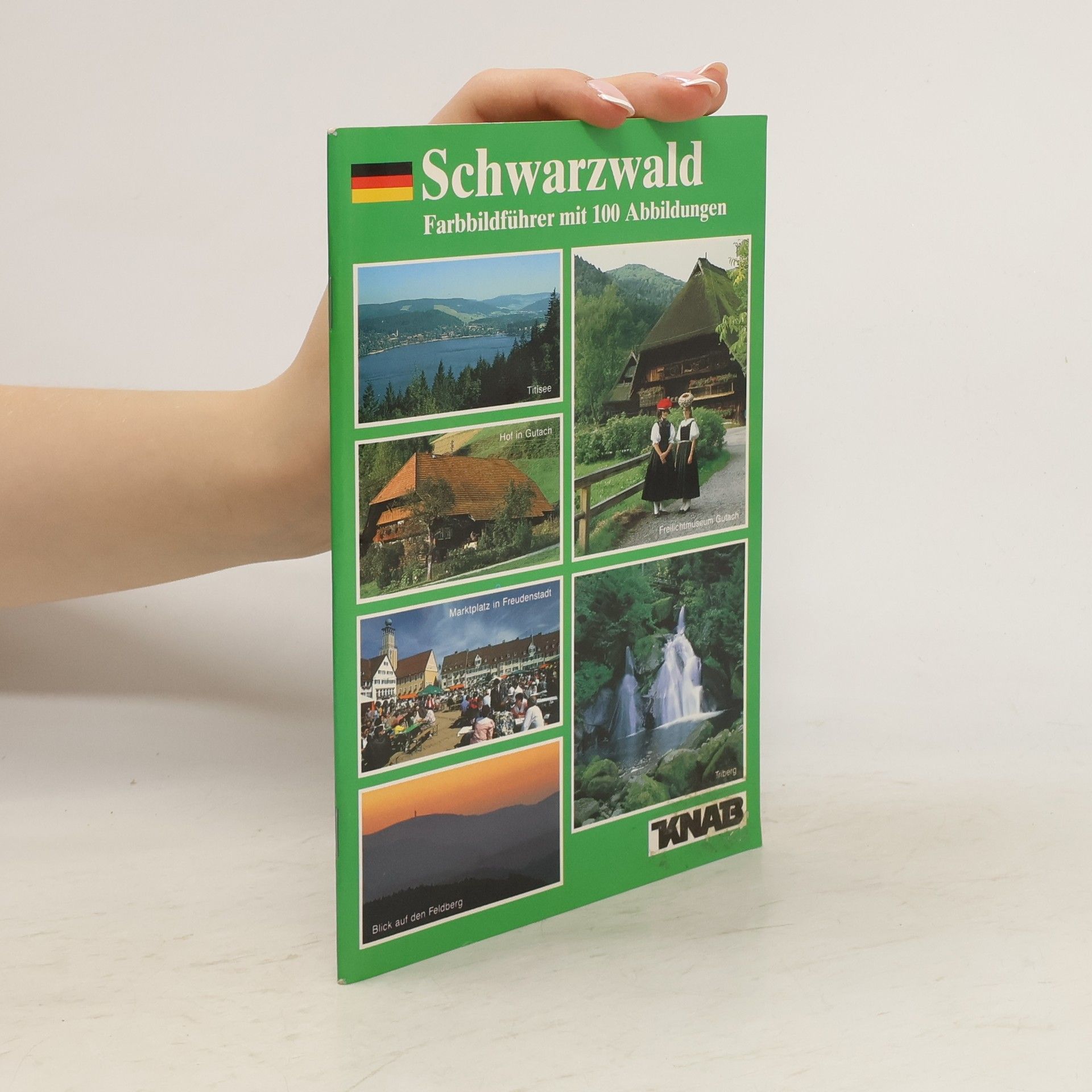 Collectif d'auteurs Schwarzwald