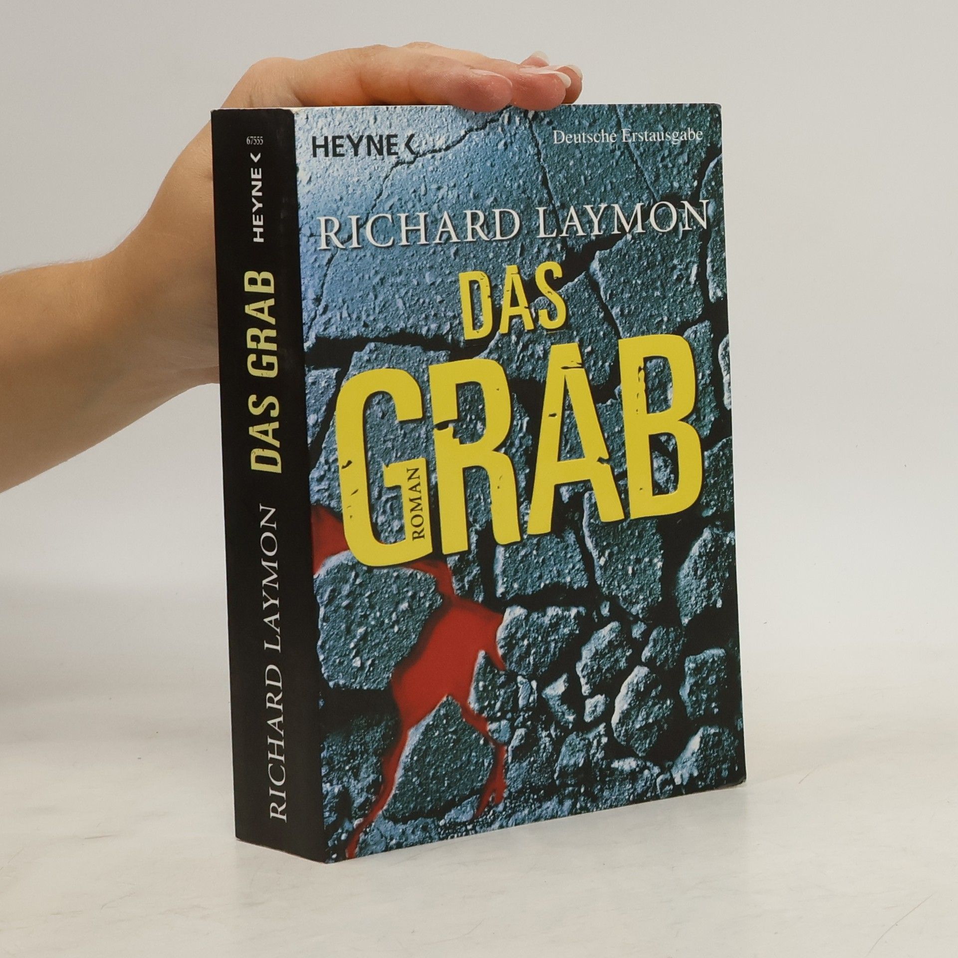 Richard Laymon Das Grab