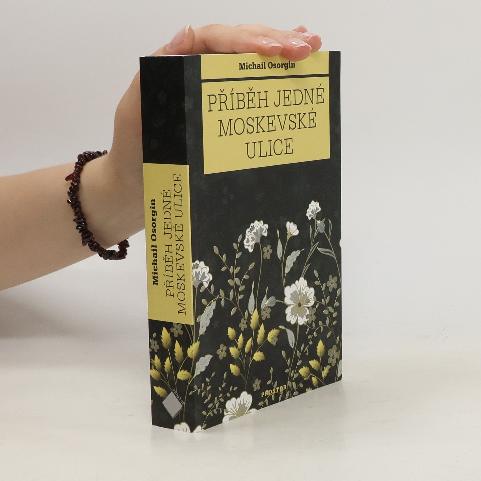 Michail Andrejevič Osorgin Příběh jedné moskevské ulice