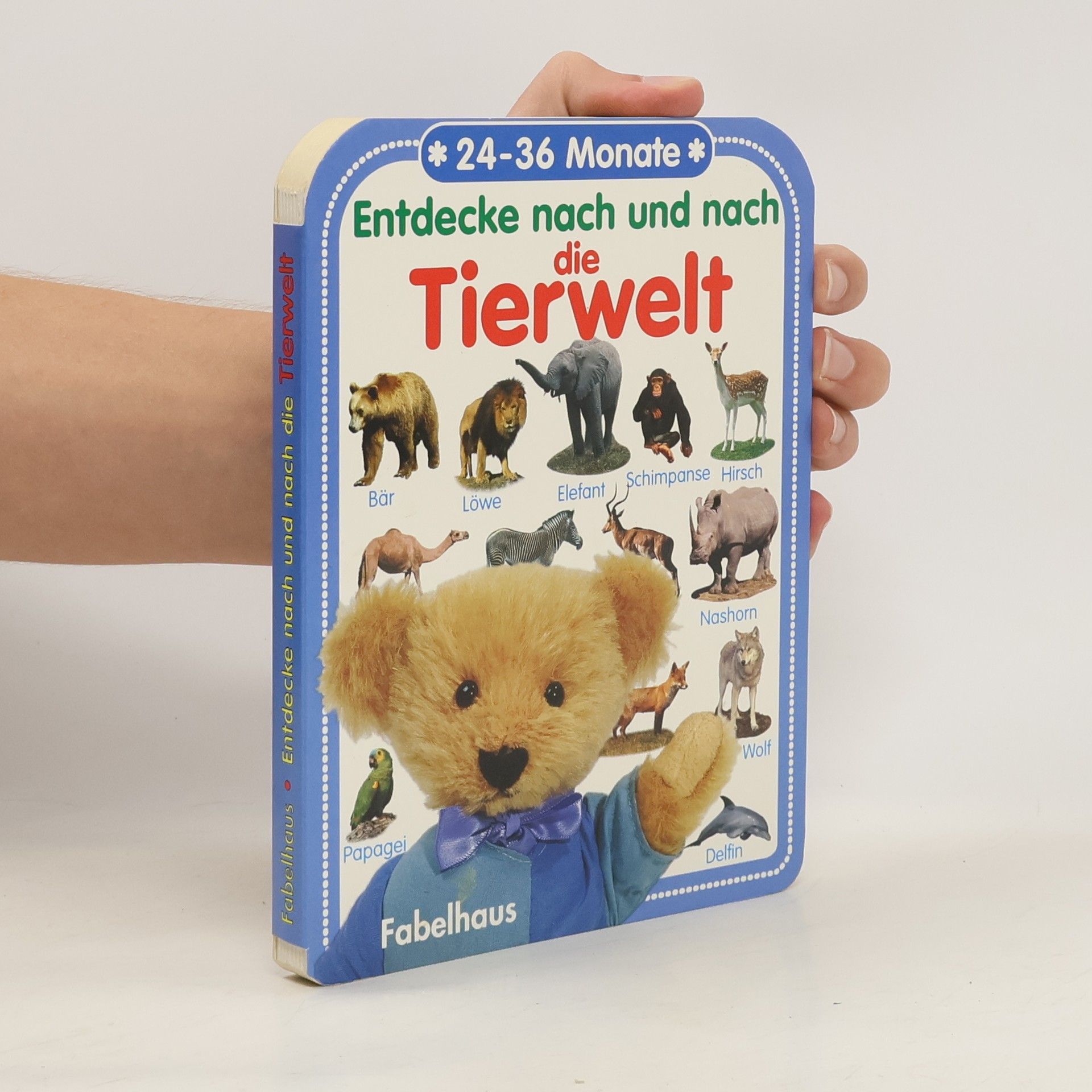 Autorenkollektiv Entdecke nach und nach die Tierwelt