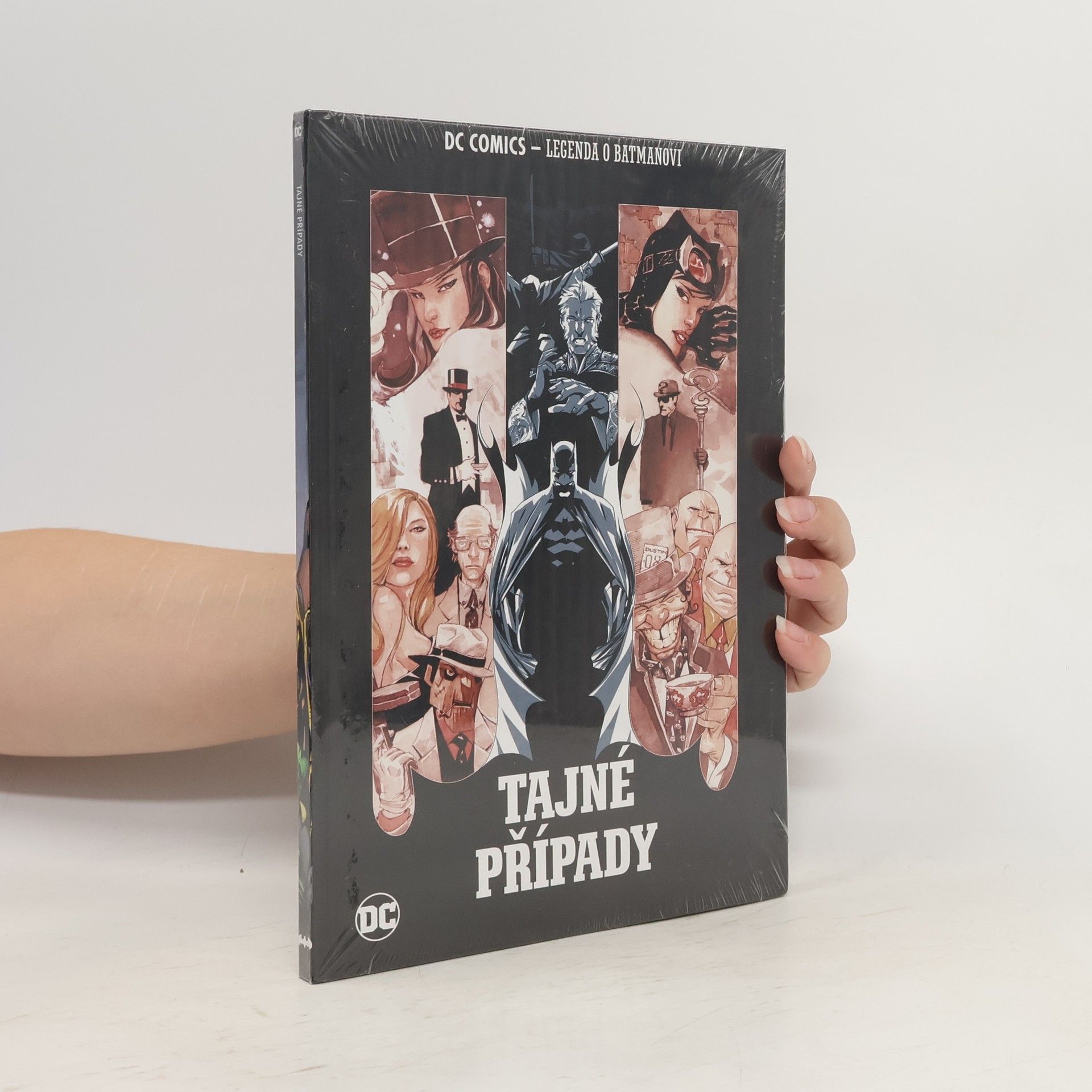 Kolektiv autorů Tajné případy