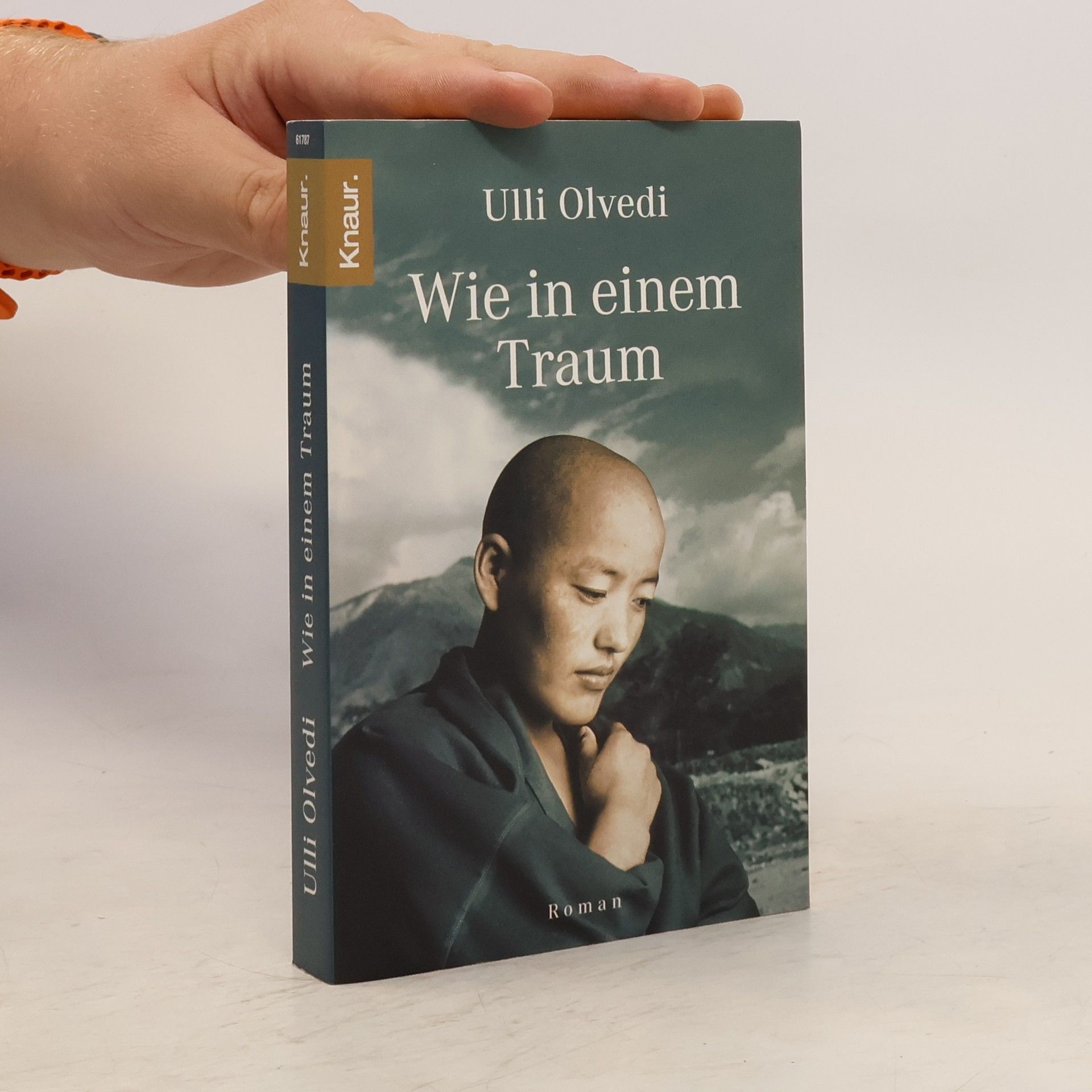 Ulli Olvedi Wie in einem Traum