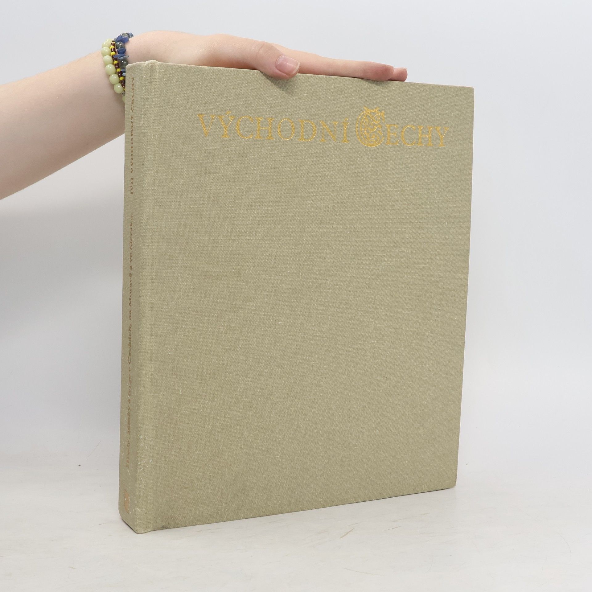 Collectif d'auteurs Hrady, zámky a tvrze v Čechách na Moravě a ve Slezsku VI. Východní Čechy