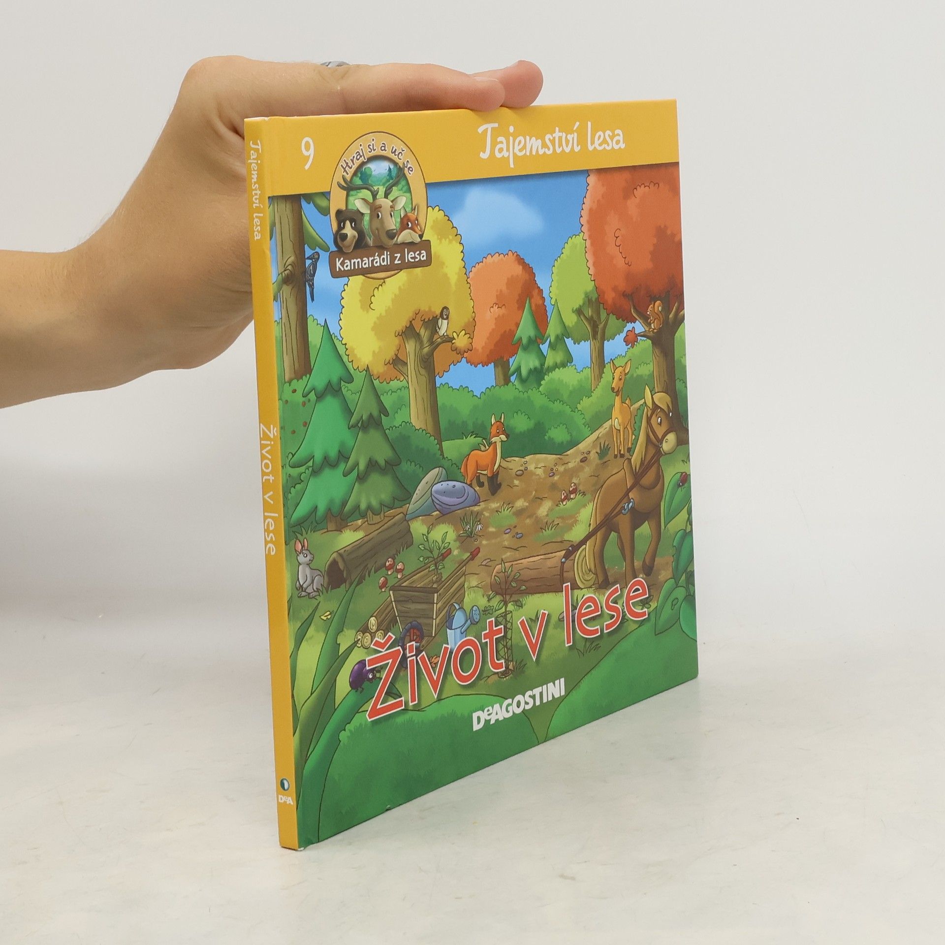 Autorenkollektiv Tajemství lesa 9. Život v lese