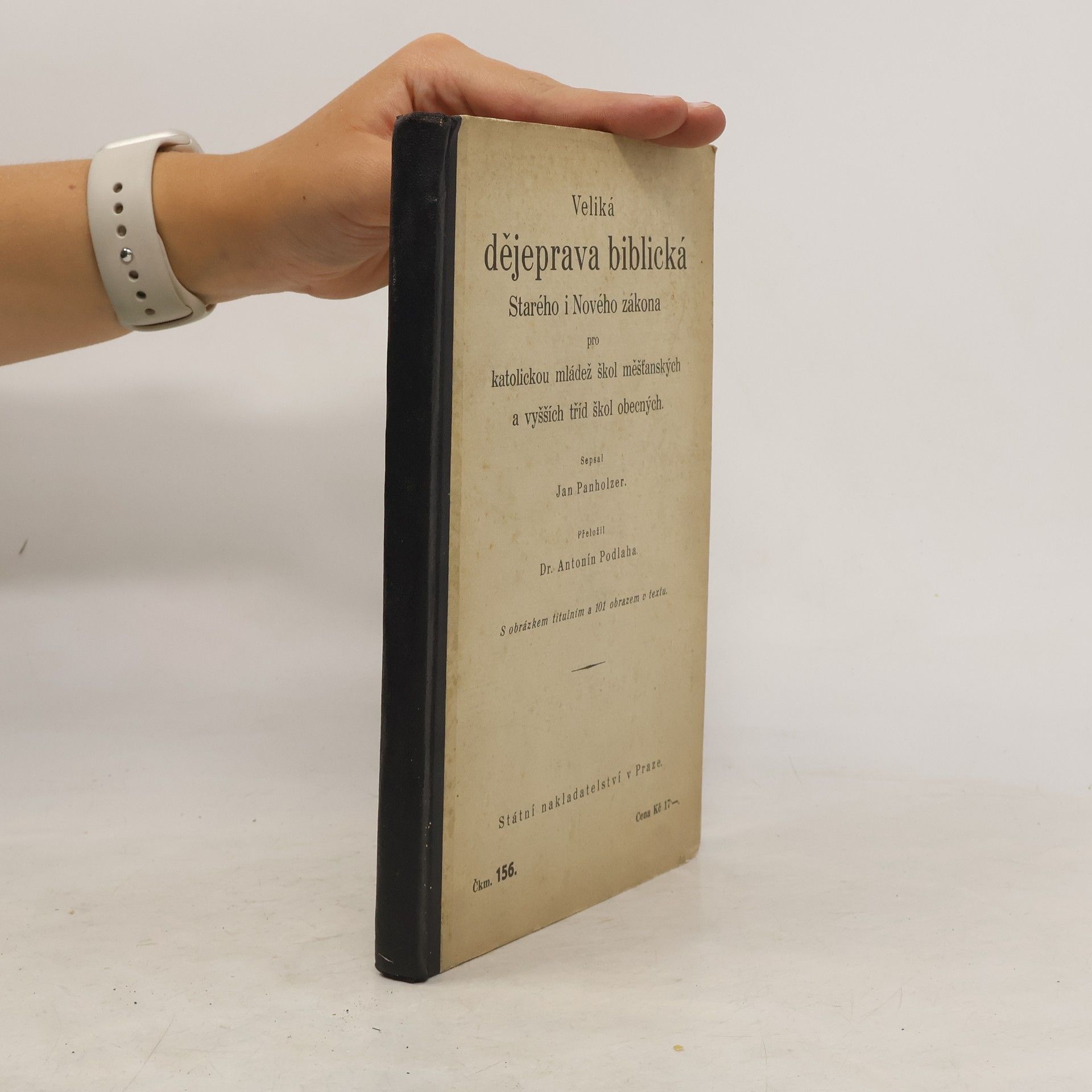 Veliká dějeprava biblická Starého i Nového zákona