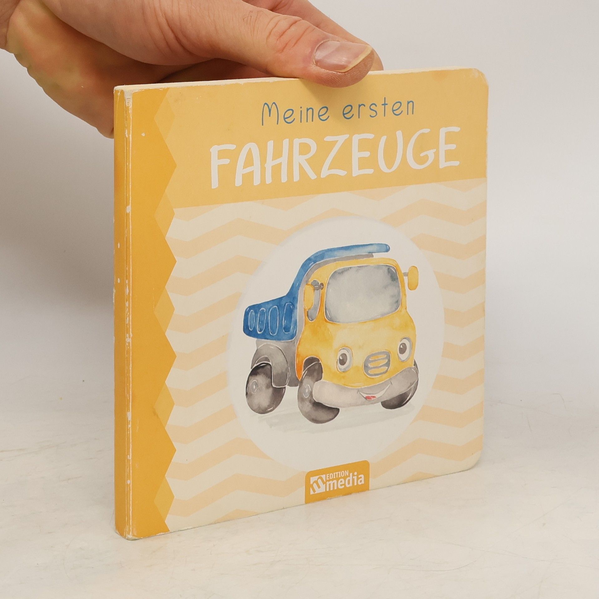 Autorenkollektiv Meine ersten Fahrzeuge