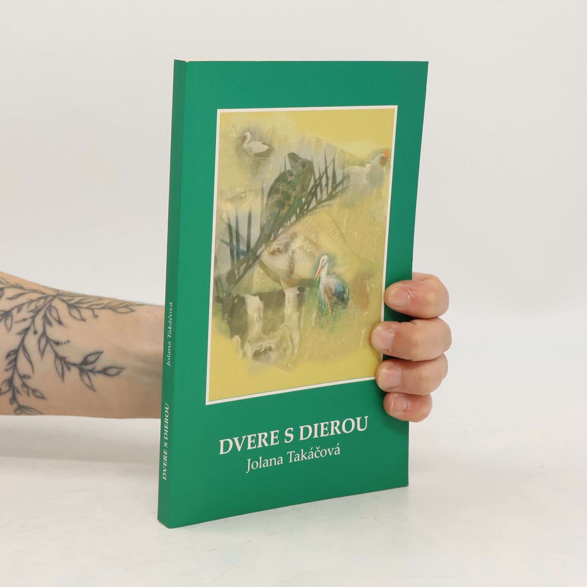 Jolana Takáčová Dvere s dierou