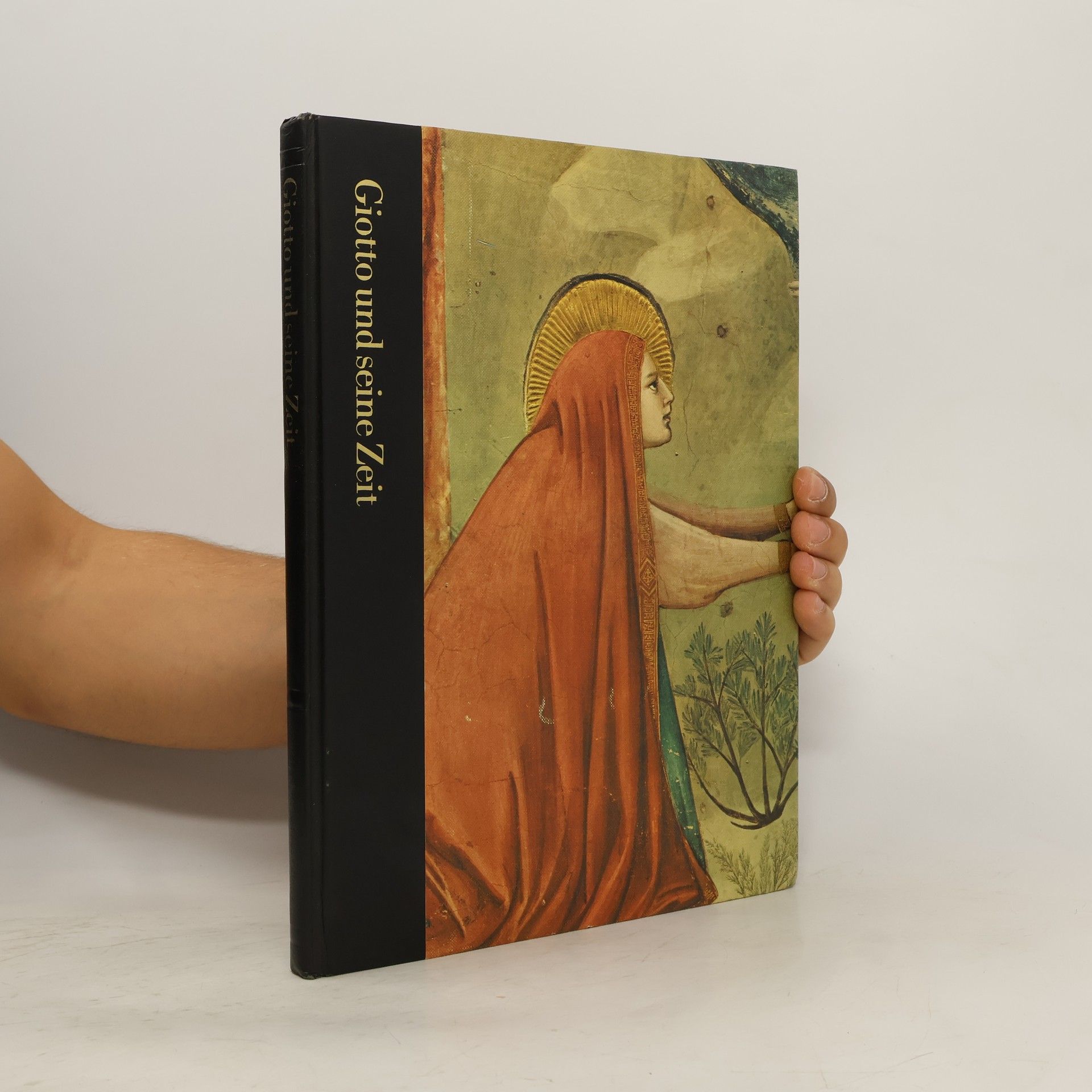 Sarel Eimerl Giotto und seine Zeit