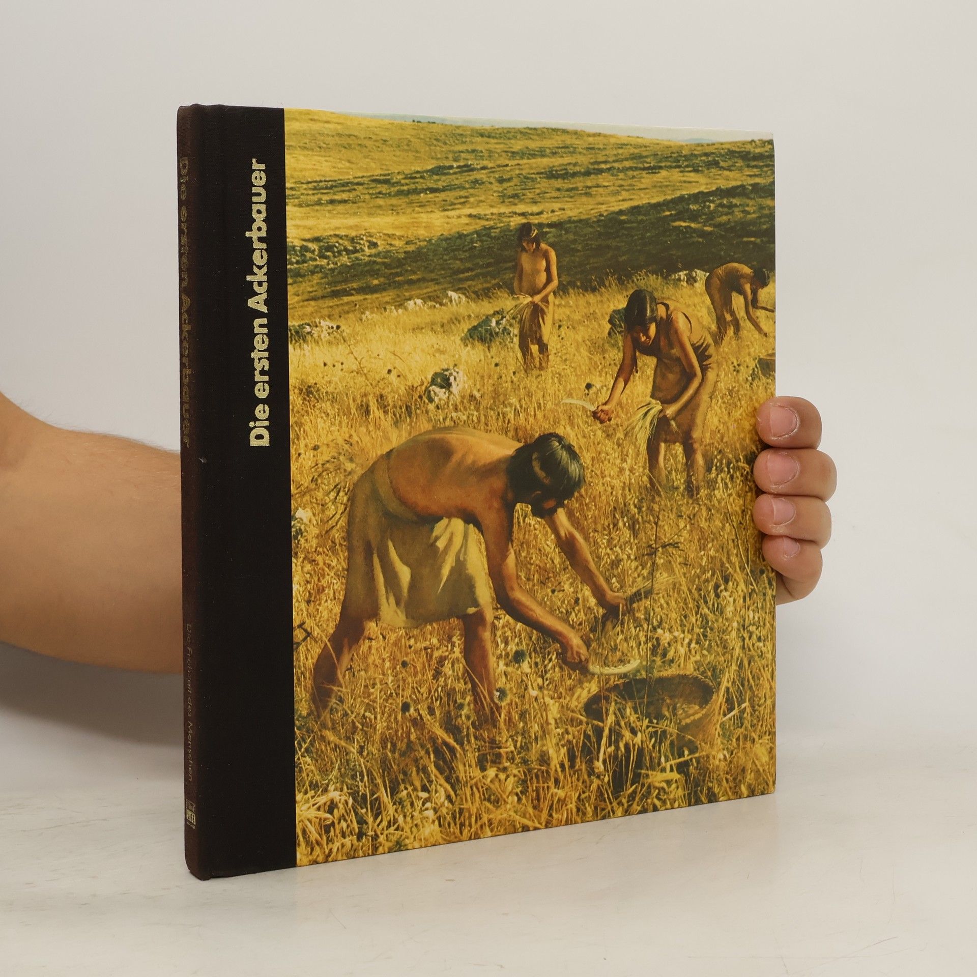 Autorenkollektiv Die ersten Ackerbauer