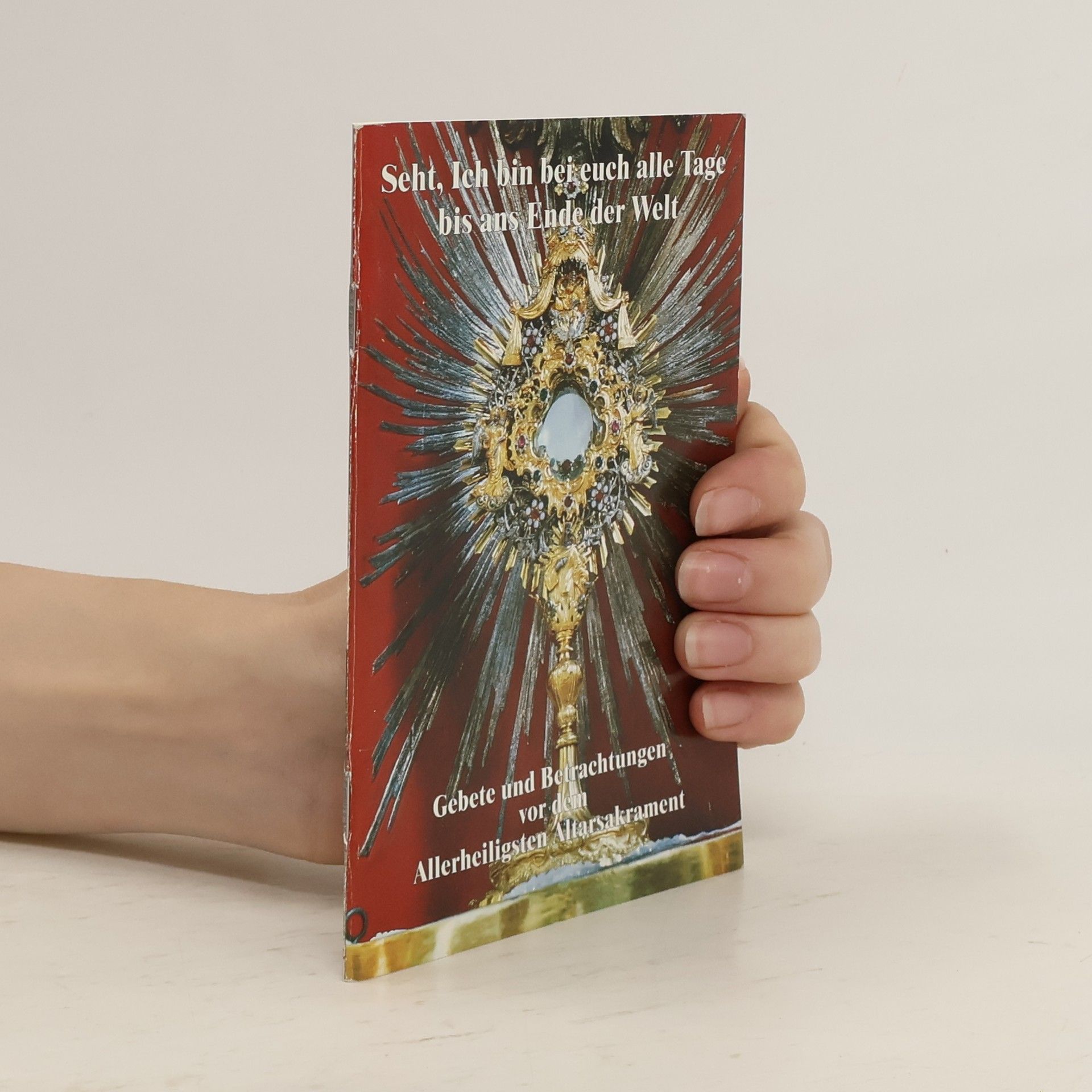 Autorenkollektiv Seht, ich bin bei Euch alle Tage bis ans Ende der Welt