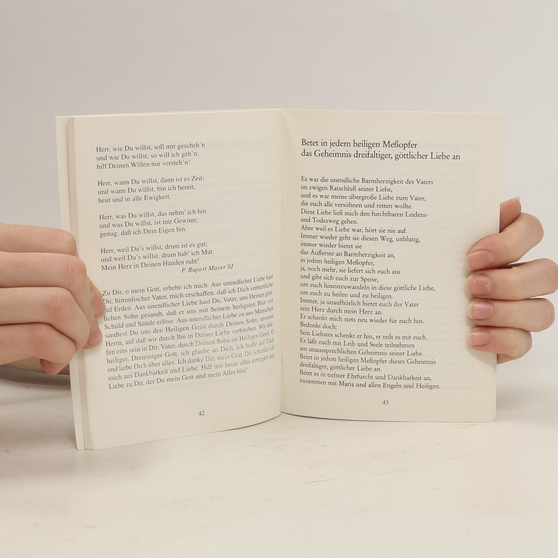 Autorenkollektiv Seht, ich bin bei Euch alle Tage bis ans Ende der Welt
