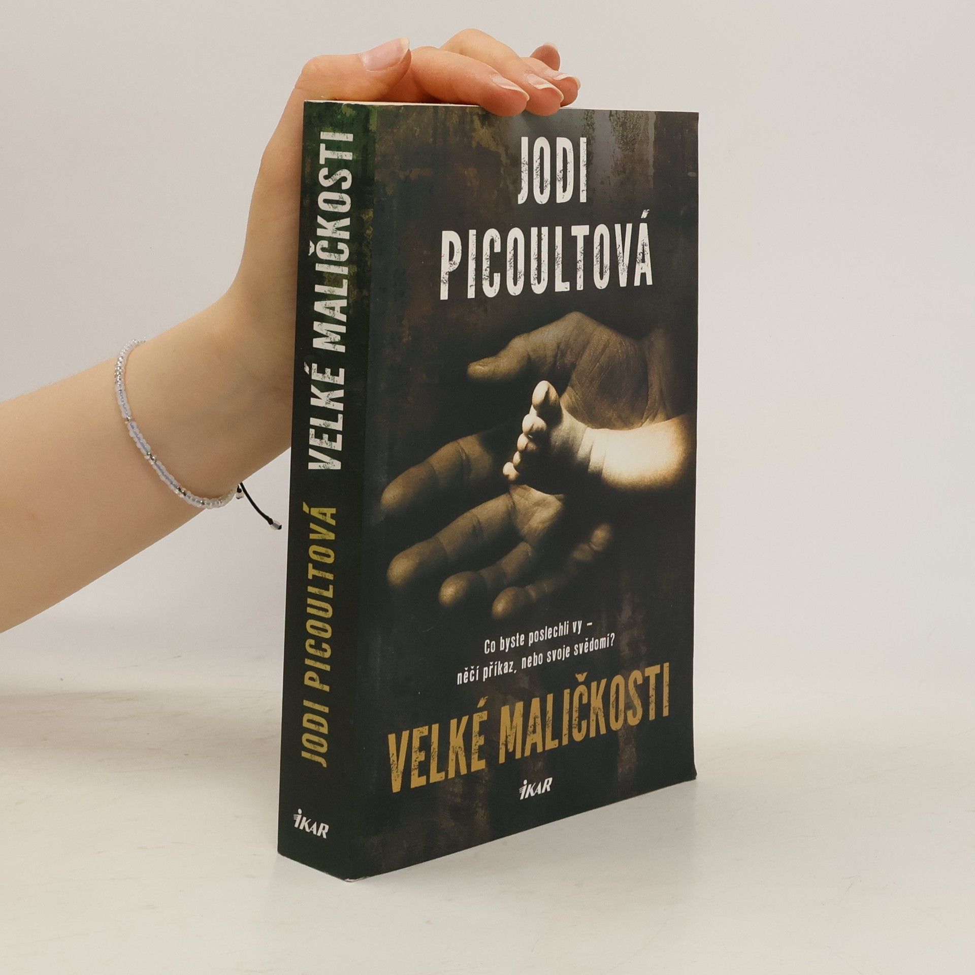 Jodi Picoult Velké maličkosti