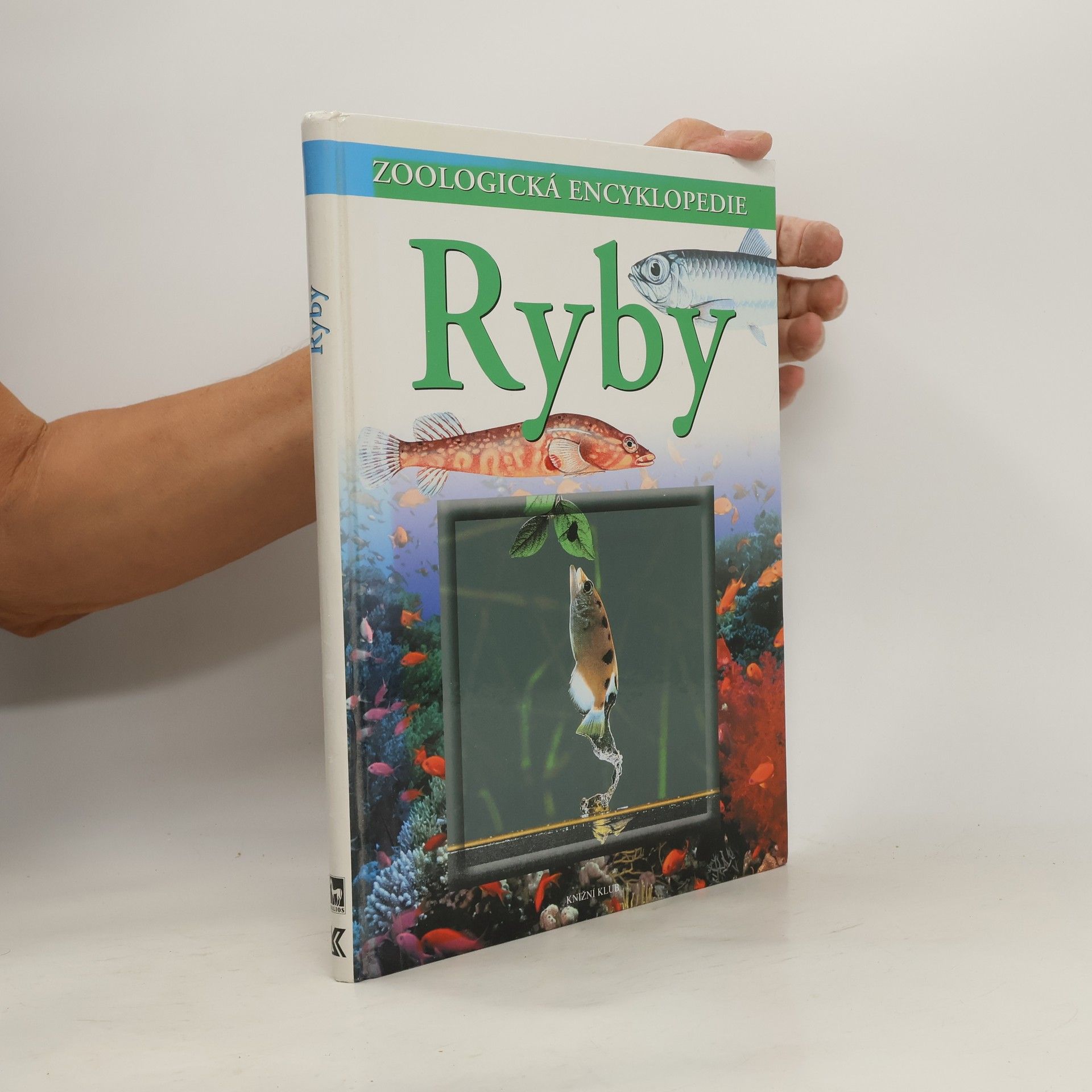 Günter Diesener Ryby