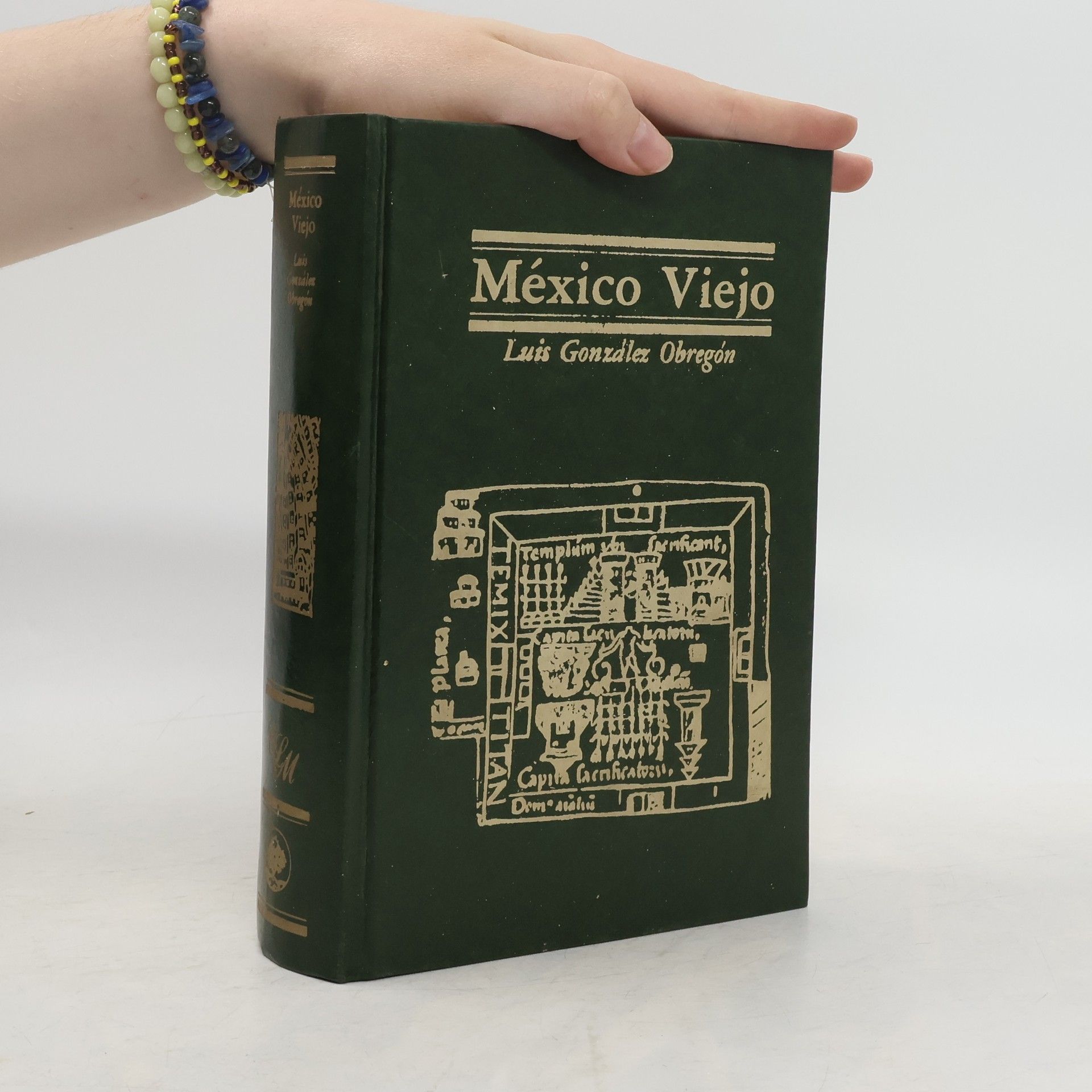 Luis Gonzalez Obregon México Viejo