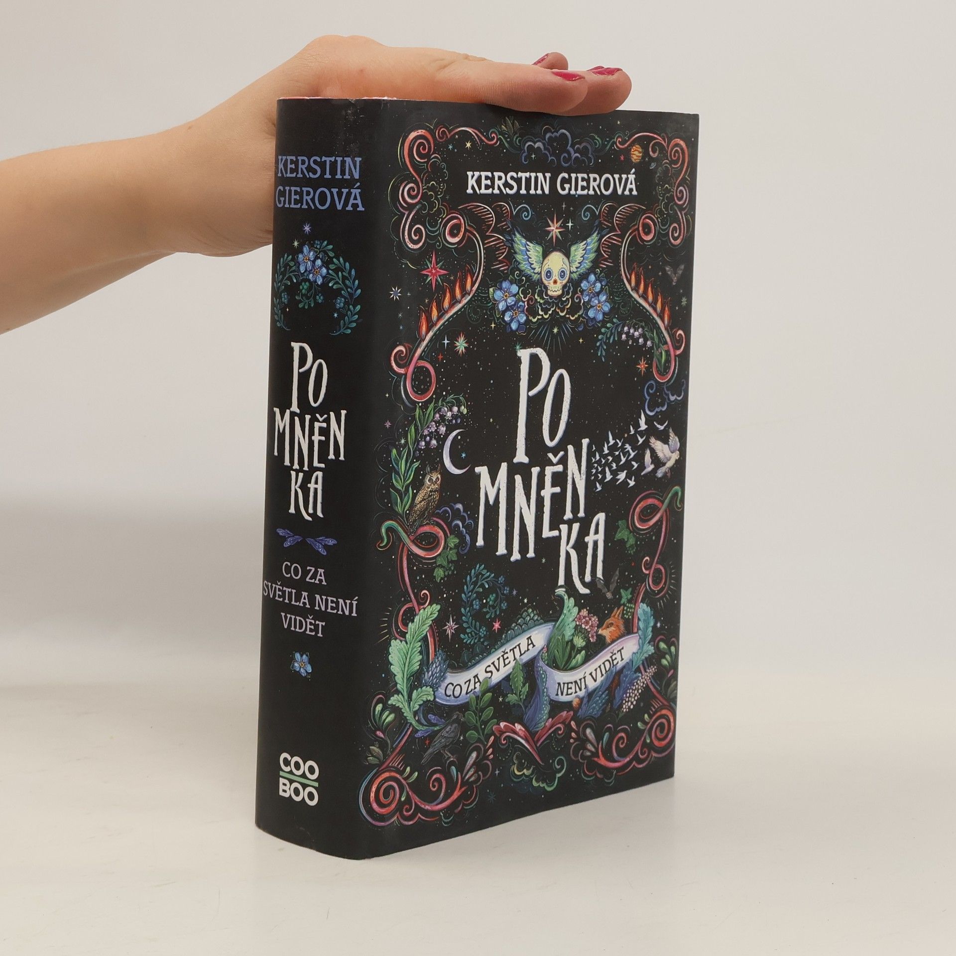 Kerstin Gier Pomněnka : co za světla není vidět