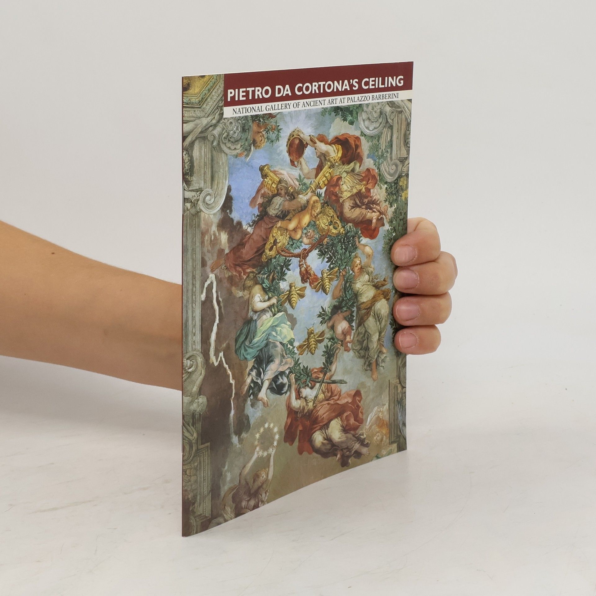 Anna Lo Bianco Pietro Da Cortona's Ceiling