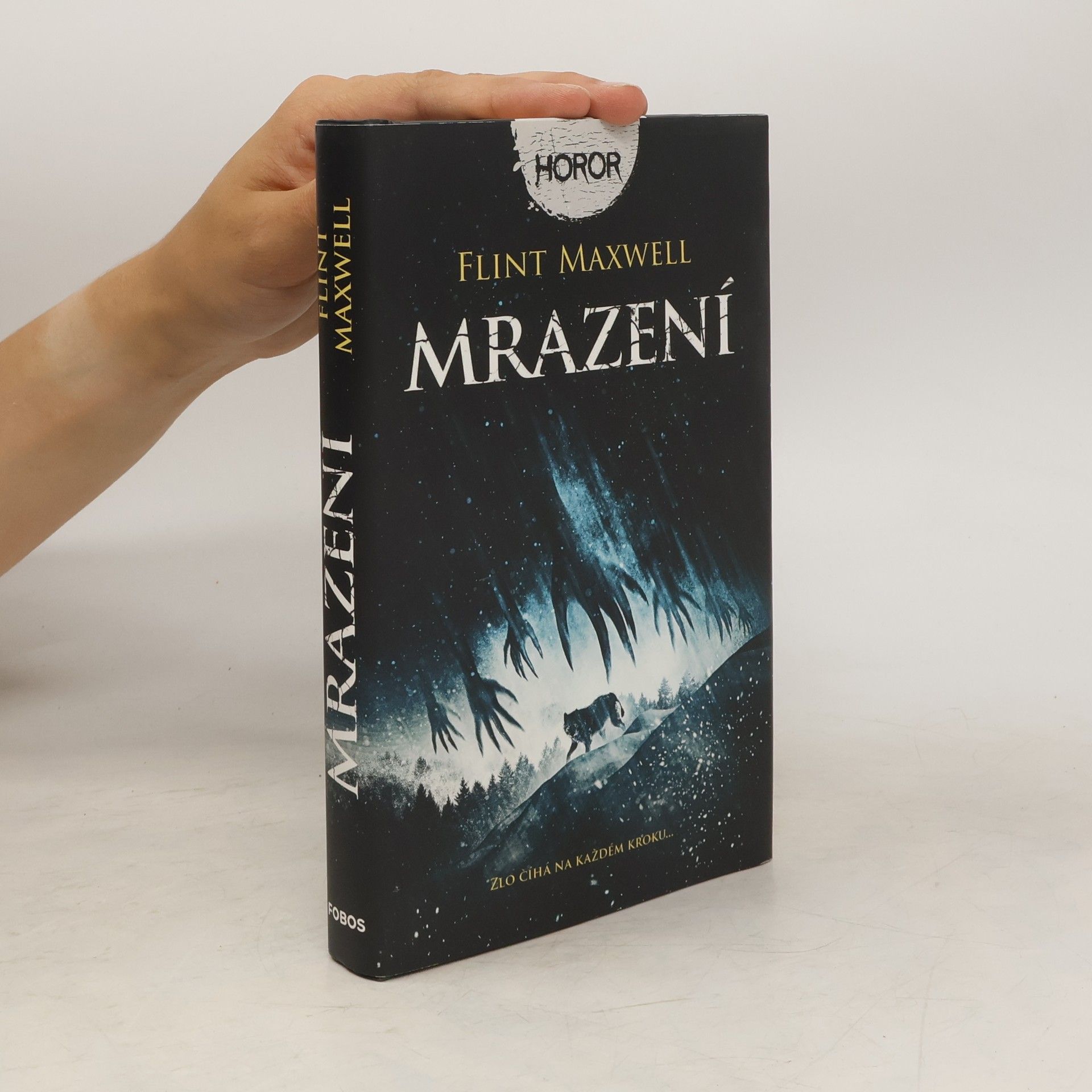 Flint Maxwell Mrazení