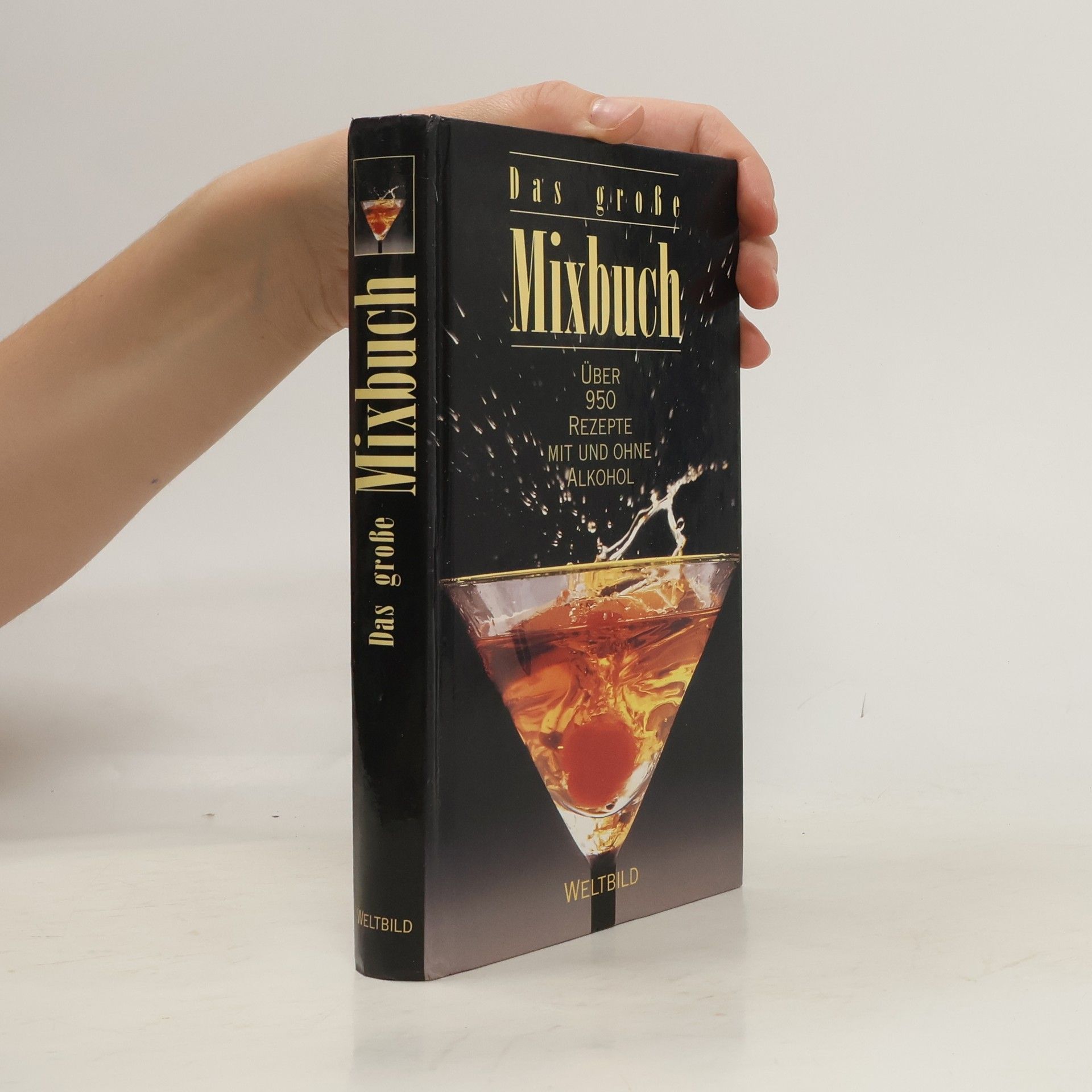 Autorenkollektiv Das grosse Mixbuch