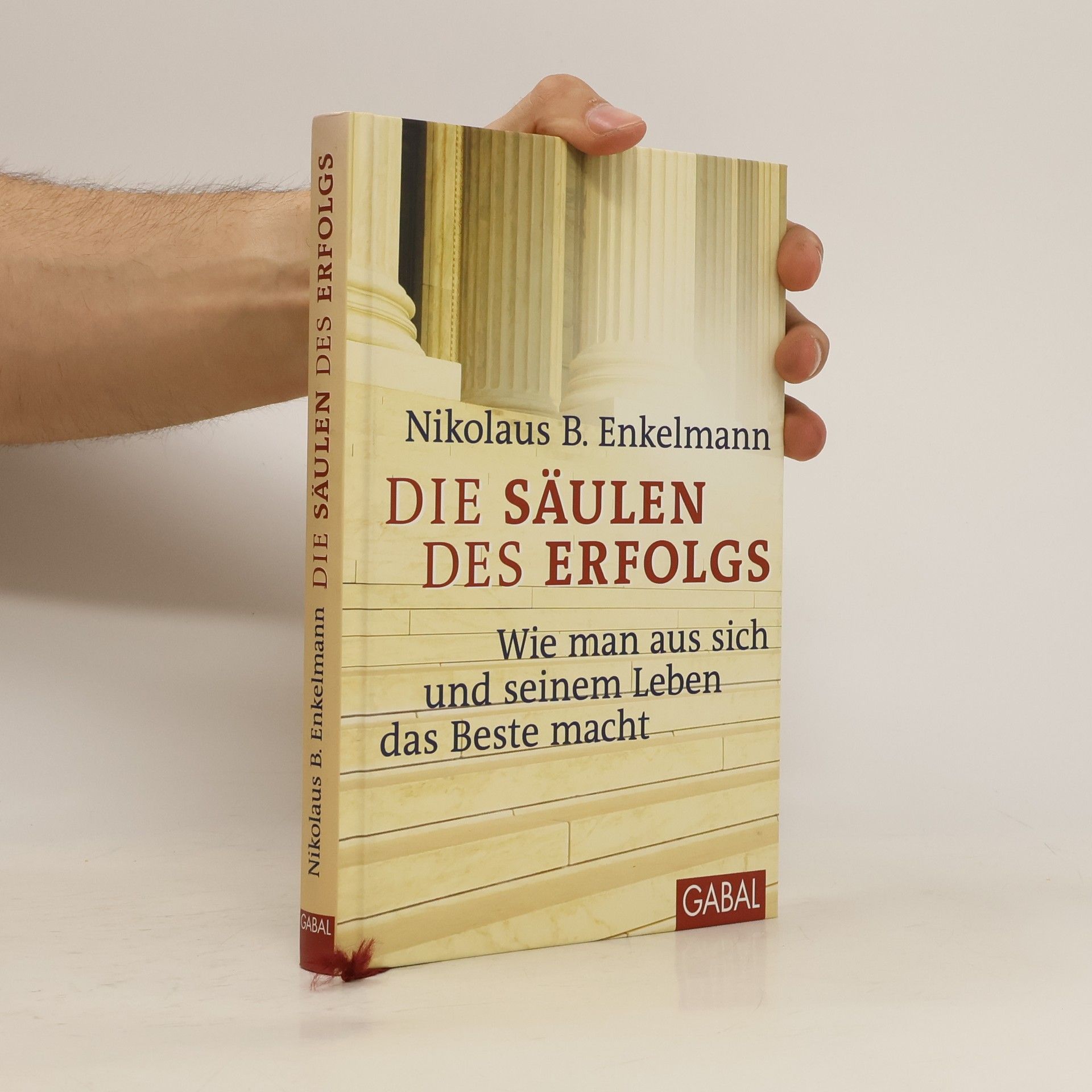 Nikolaus Enkelmann Die Säulen des Erfolgs