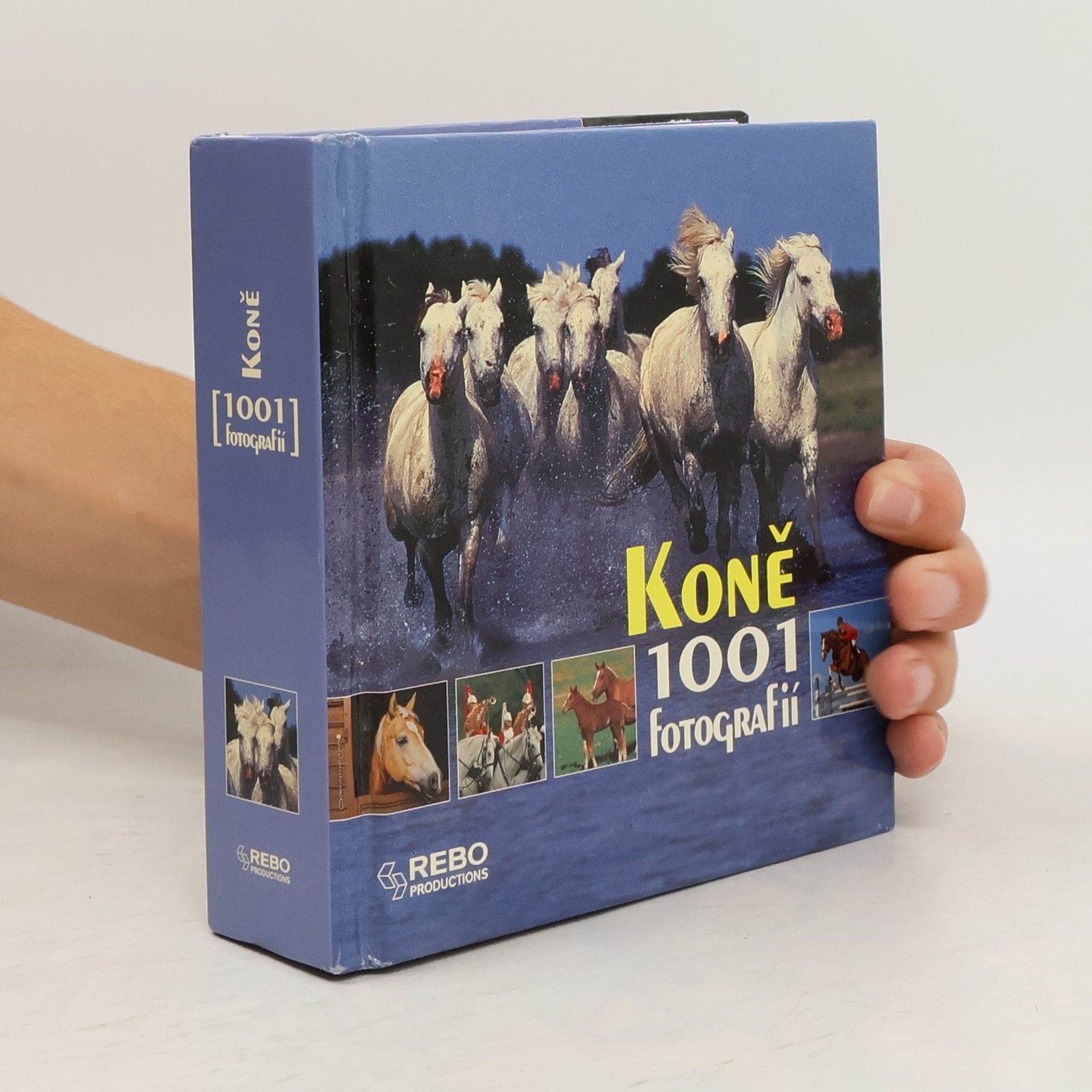 Auteurscollectief Koně. 1001 fotografií