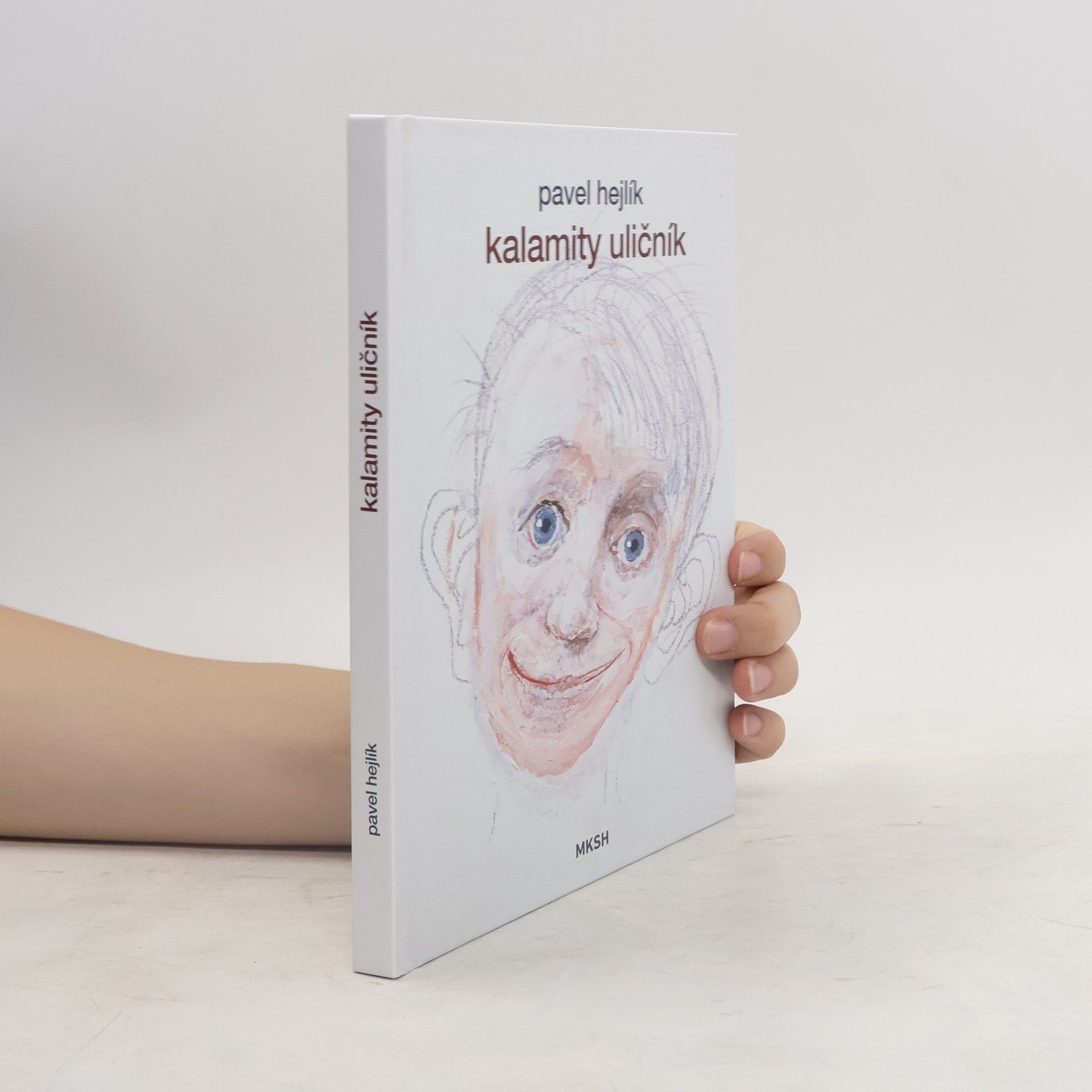 Pavel Hejlík Kalamity uličník