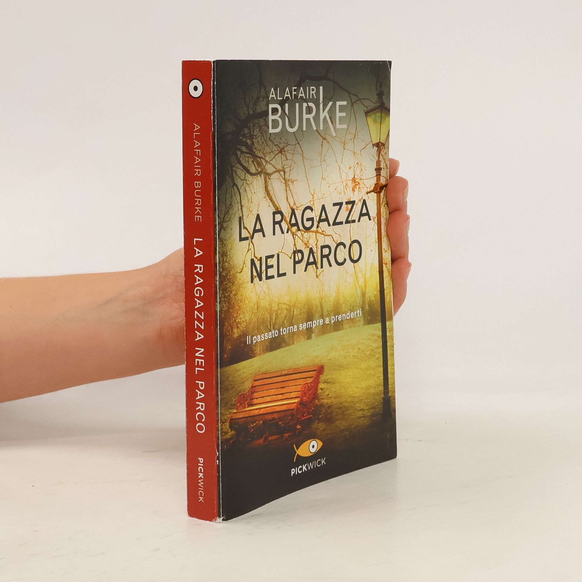 Alafair Burke La ragazza nel parco