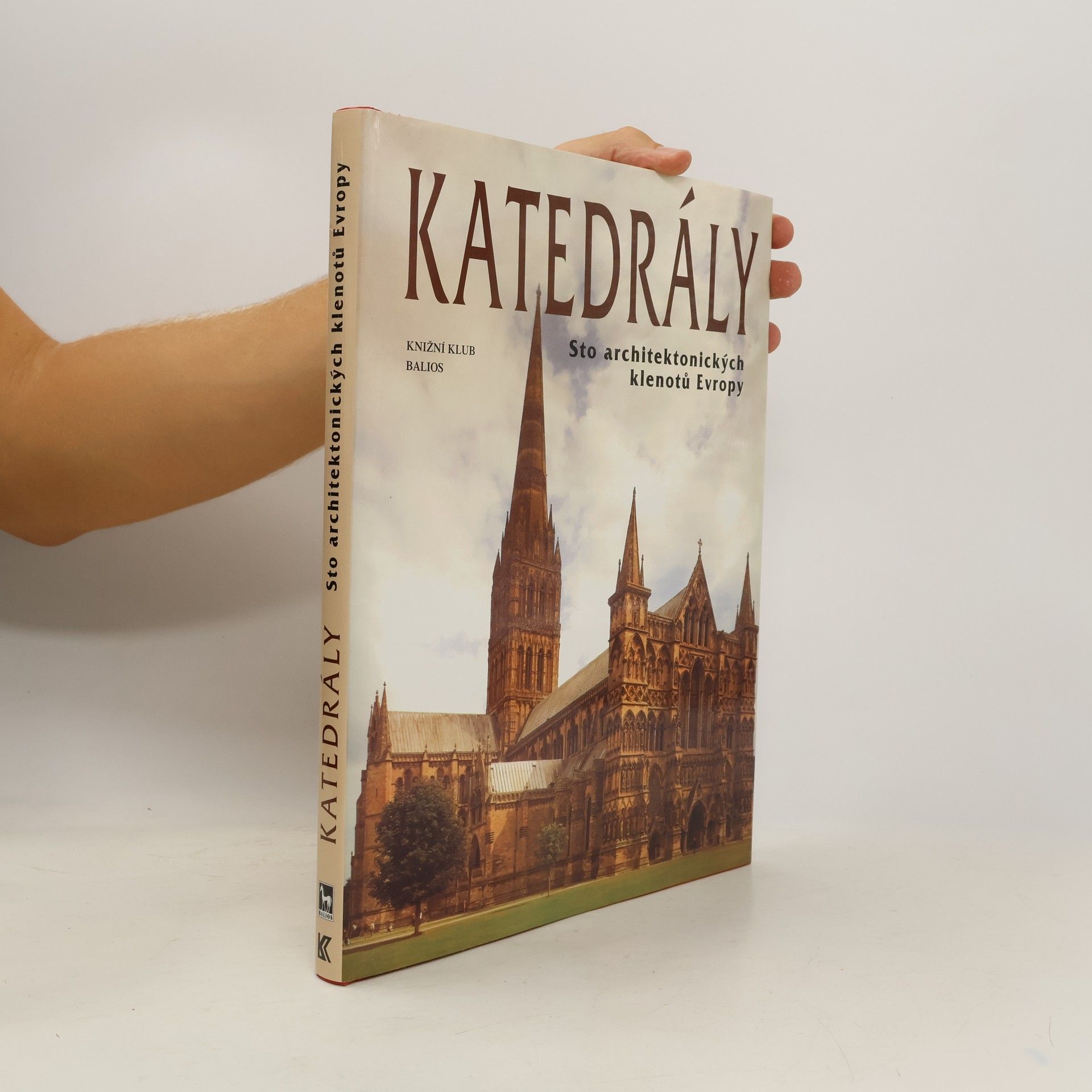 Collectif d'auteurs Katedrály : sto architektonických klenotů Evropy