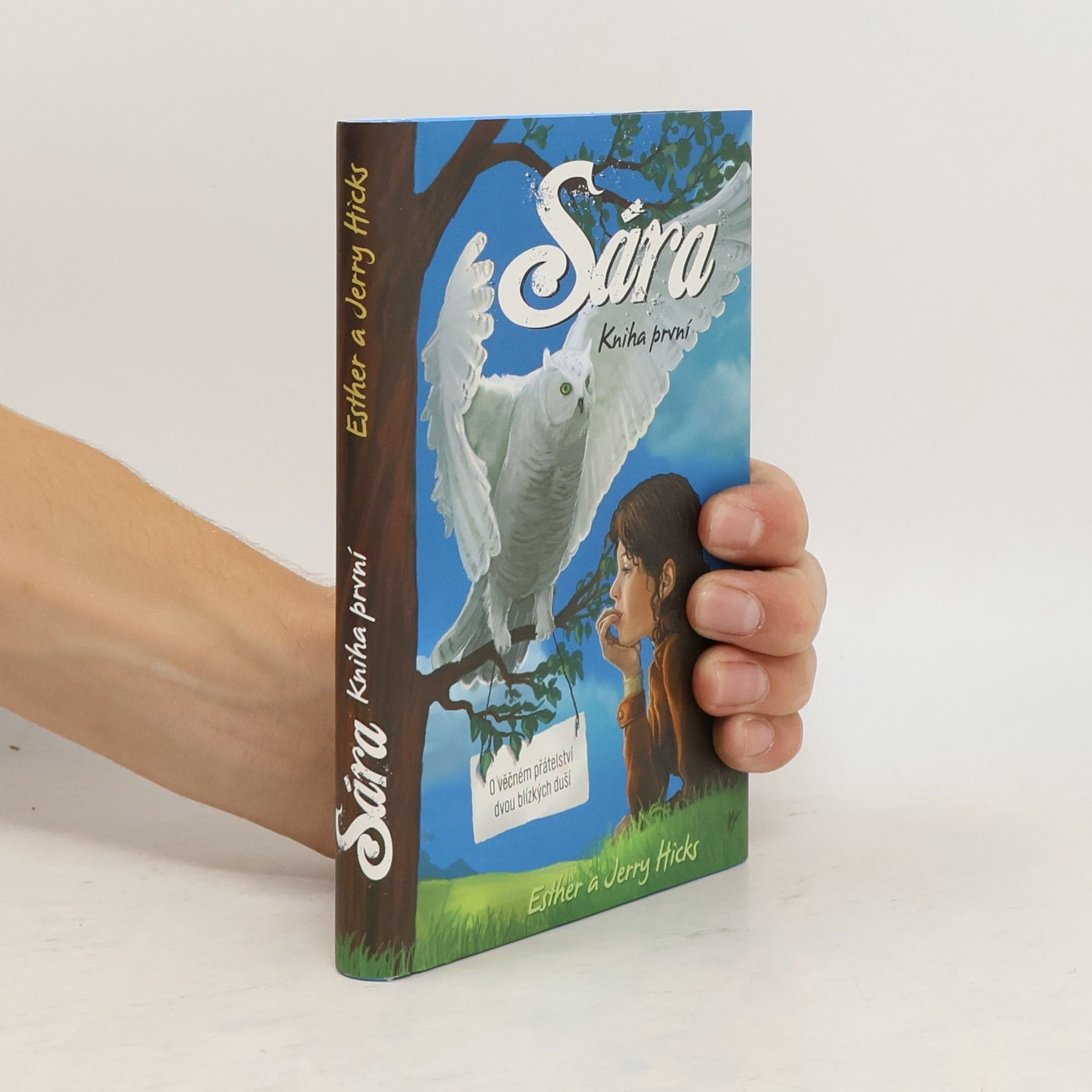Esther Hicks Sára. Kniha první, O věčném přátelství dvou blízkých duší