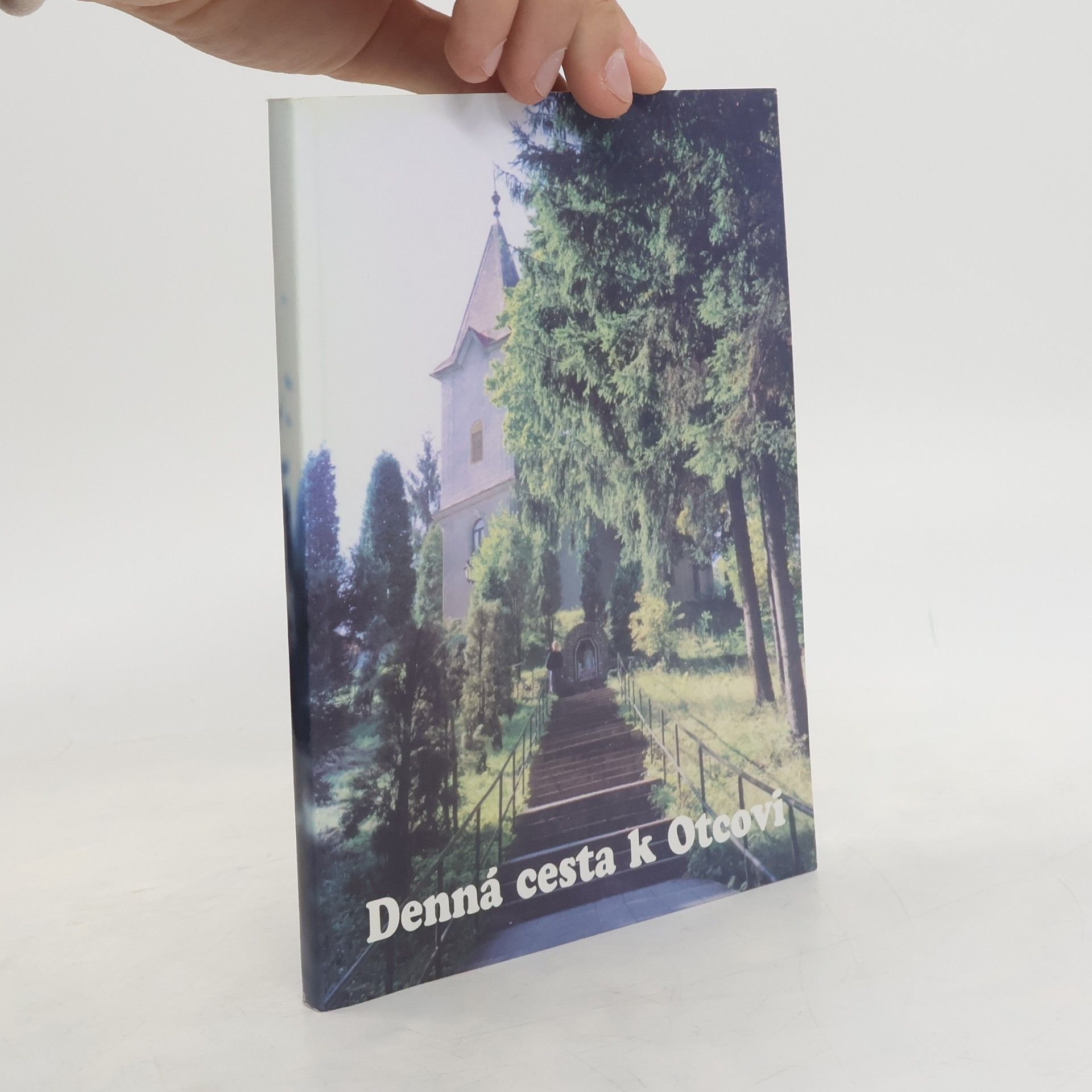 Kolektív autorov Denná cesta k Otcovi