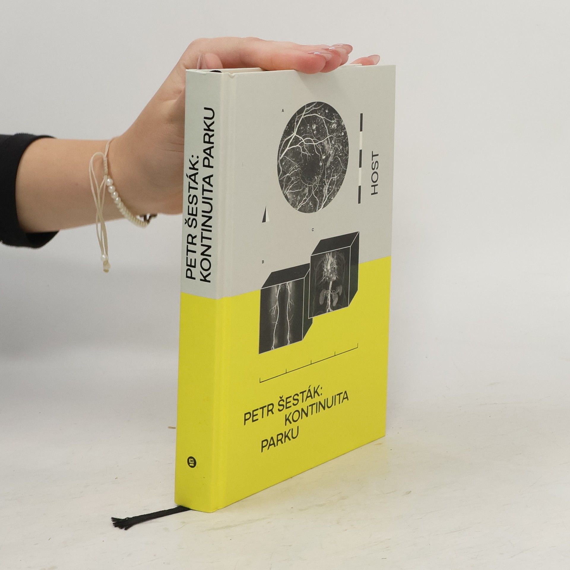 Petr Šesták Kontinuita parku