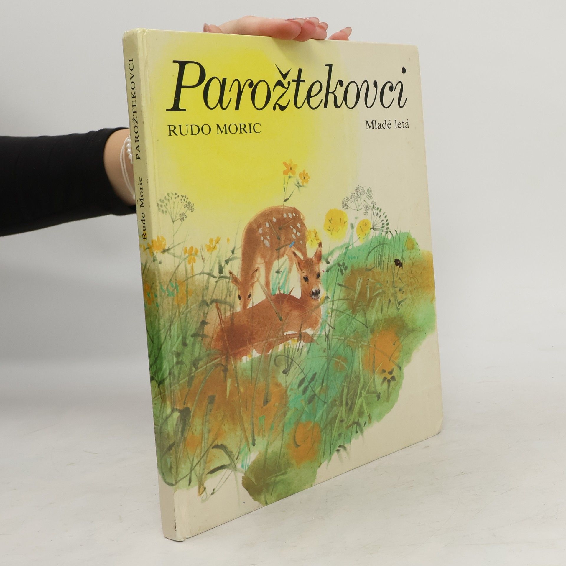 Rudo Moric Parožtekovci